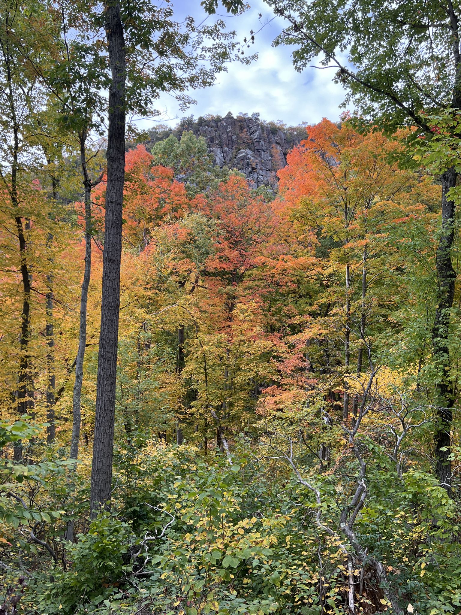 Vibrant autumn forest with colorful trees and a rocky cliff under an overcast sky. - Tower Trail