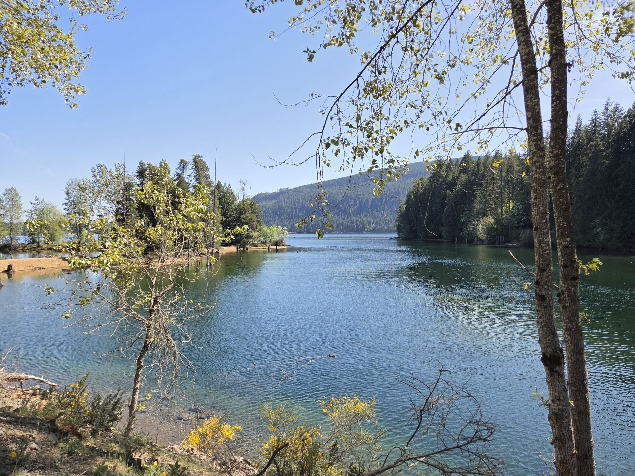 Comox Dam