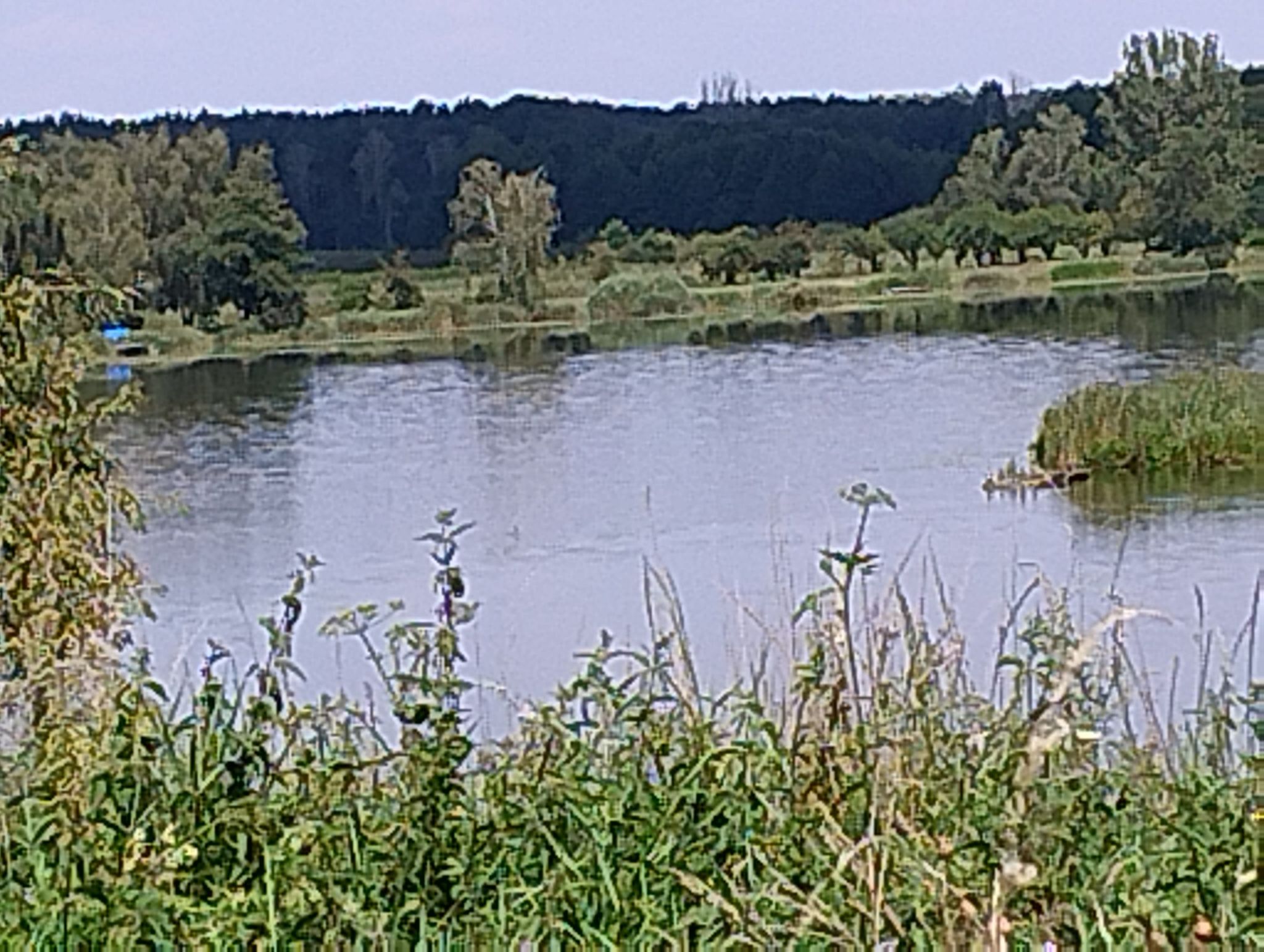 na bugaju 2