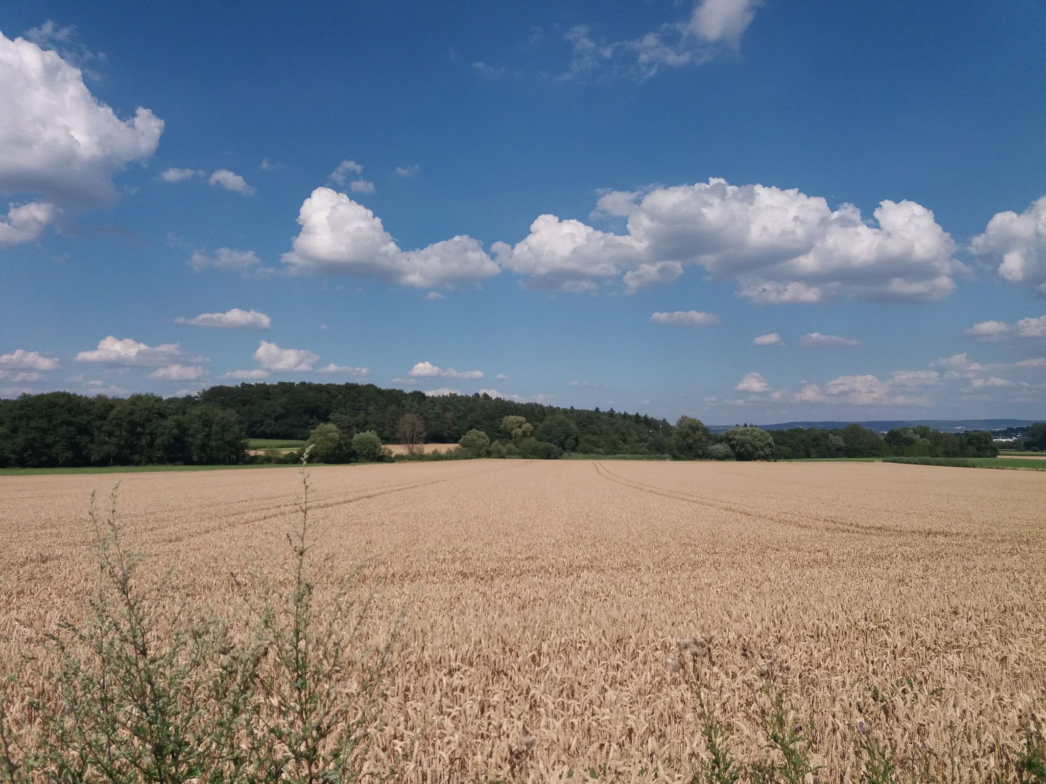 Blick in die Landschaft in Richtung Dieburg b