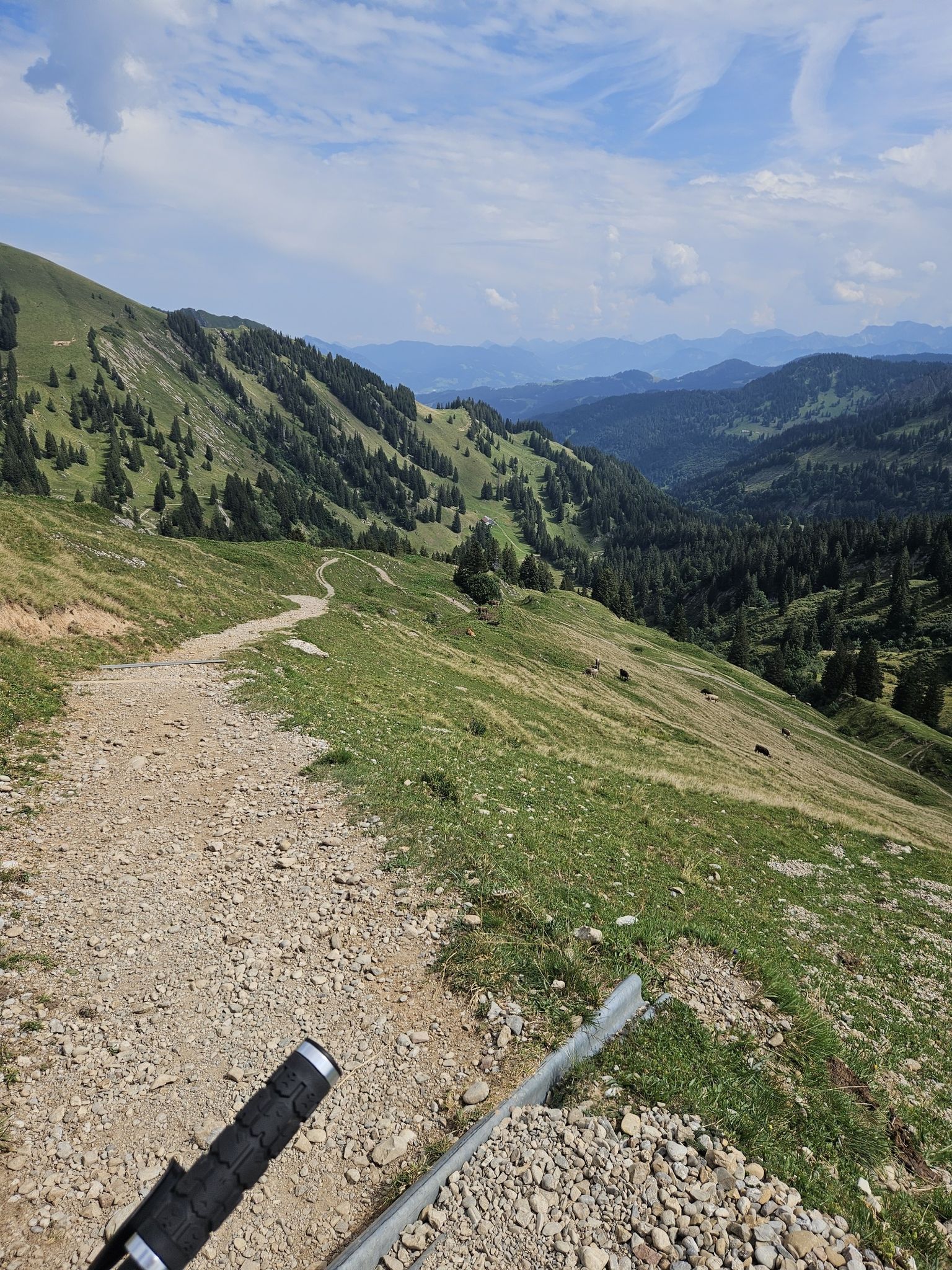 klapprad test 2020 20 Zoll Faltrad mit 8-Gang-Schaltung – ROCKBROS-DE YT SZEPTER - Design Category:Kinder Jugend Fahrräder_KTM Line MTB Rahmenhöhe:53cm | L
