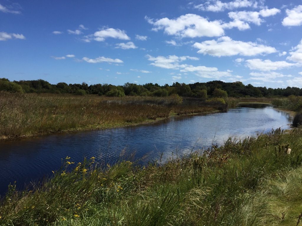 A narrow waterway winds through green marshland under a cloudy blue sky. - Virginia Beach to Back Bay National Wildlife Refuge loop