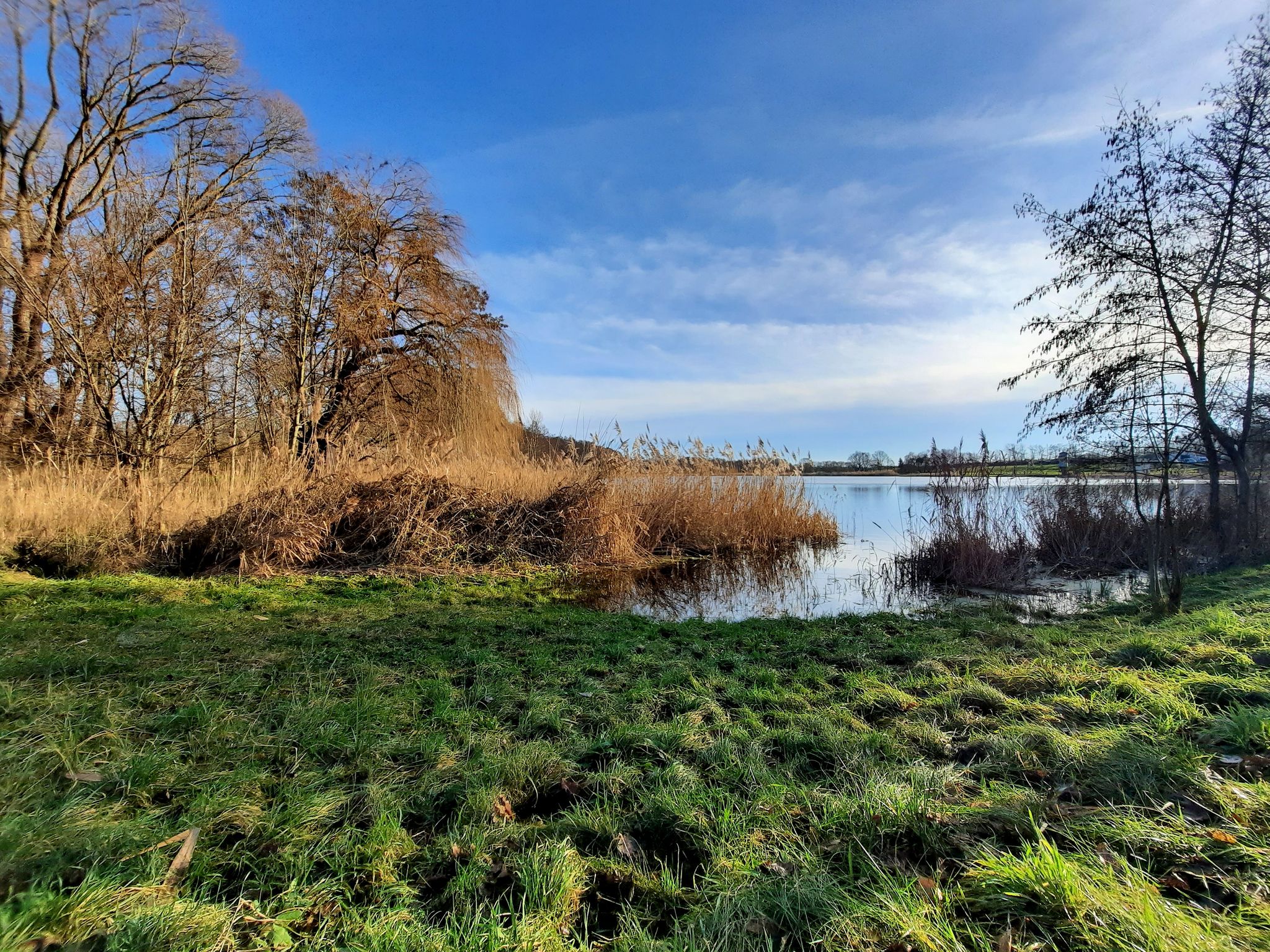 Großer Teich