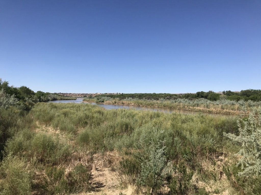 Bosque Overlook