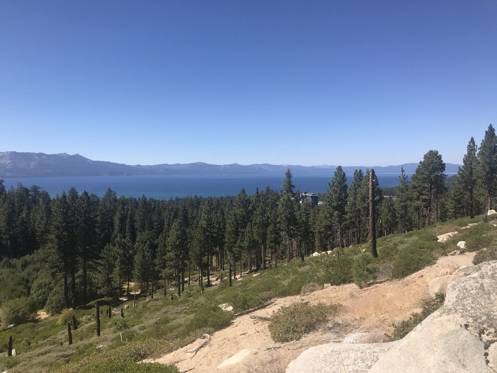 High view of a wide lake, extensive pine forest, and distant mountains on a sunny day. - Van Sickle Trailhead – Van Sickle Trail Junction loop from Van Sickle Bi-State Park