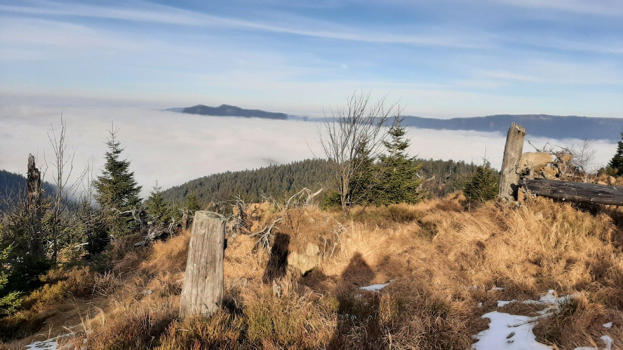 Blick zum Osser vom Enzian aus
