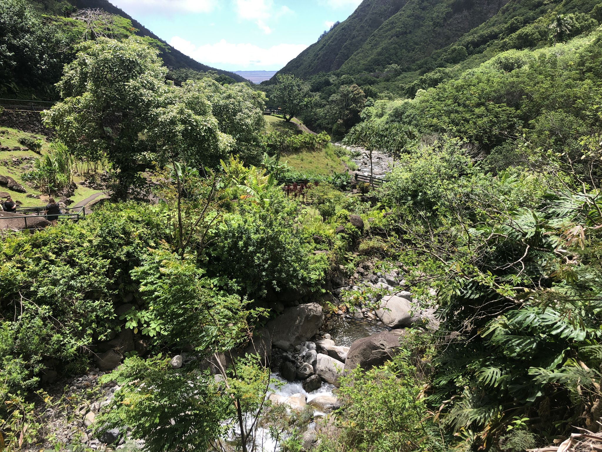Green valley with a winding river, dense trees, and distant mountains. - View of ʻIao Needle – ʻĪao Needle Viewpoint loop from Kepaniwai Park