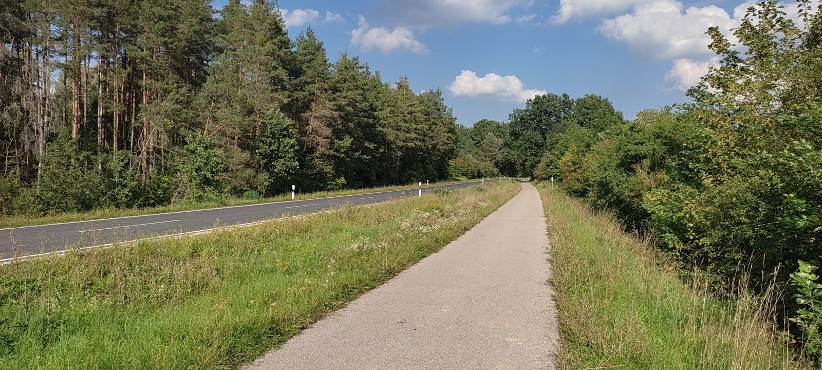 Radweg zw. Allersberg u. Seligenporten