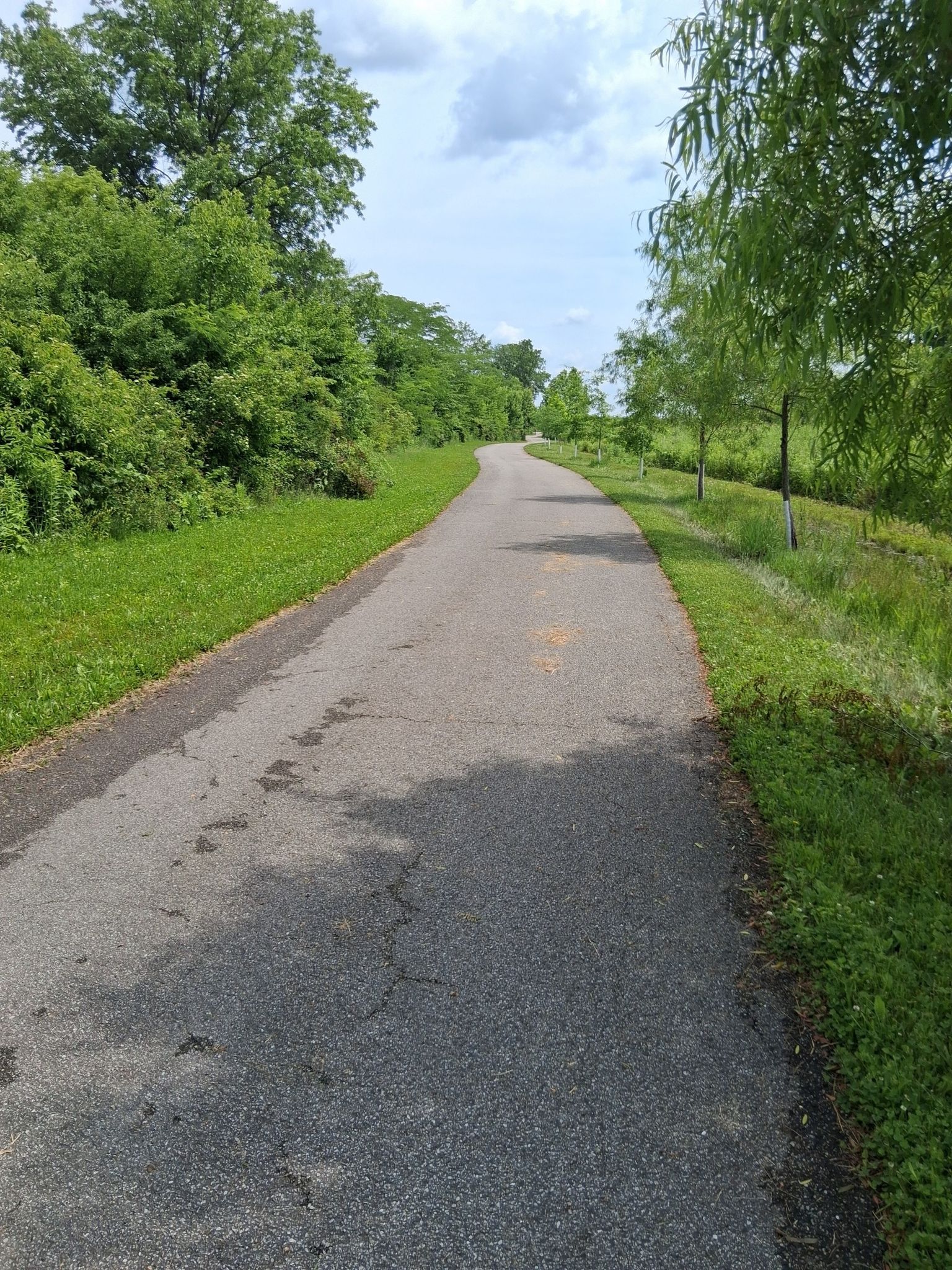 Paved path winding through green trees and grass on a bright day. - Fort Wayne to Huntington