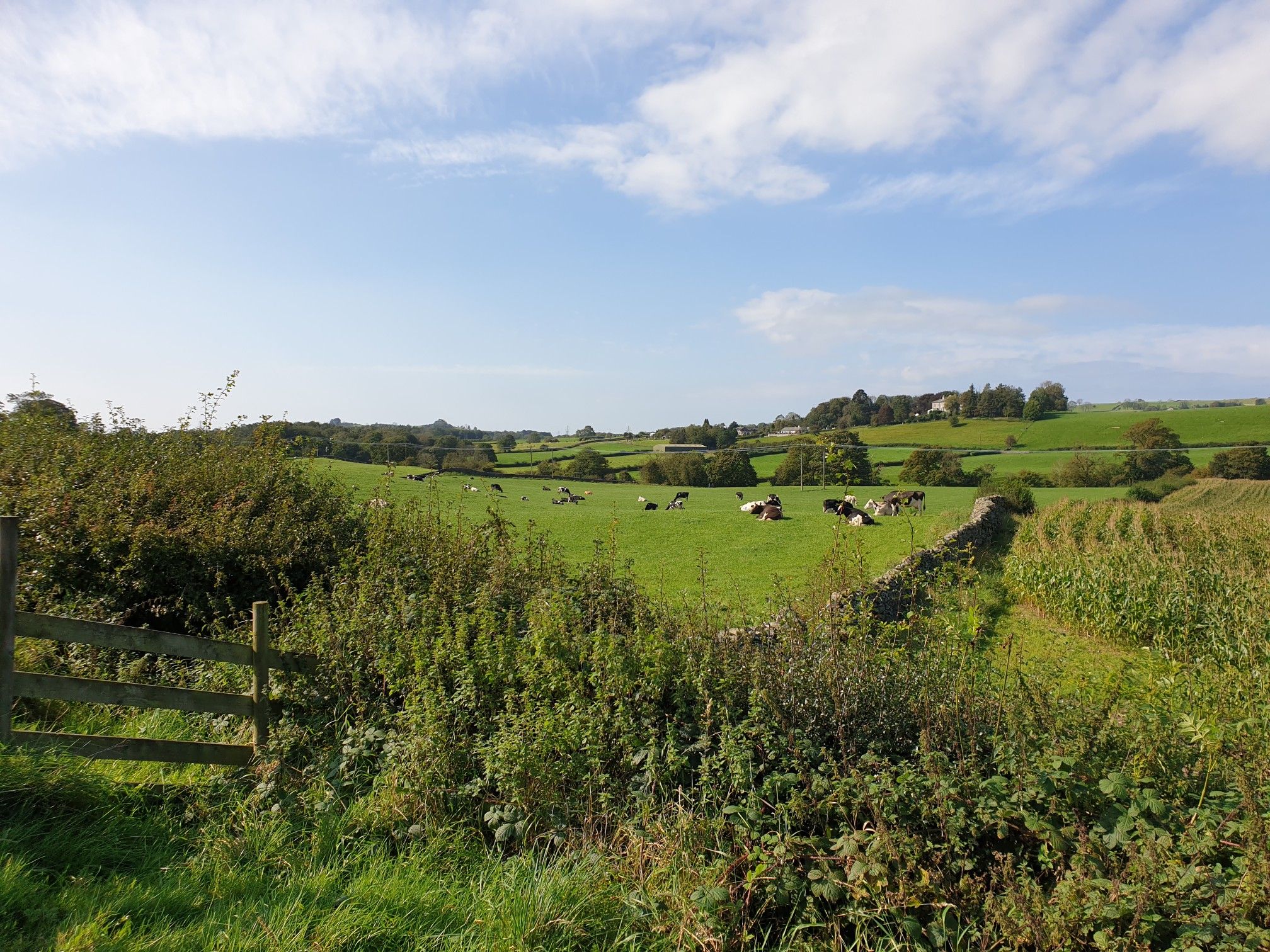 lakeland fields