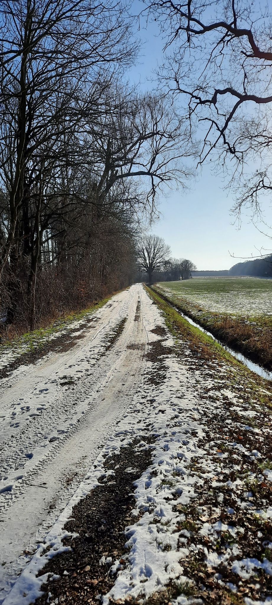 der Grenzweg