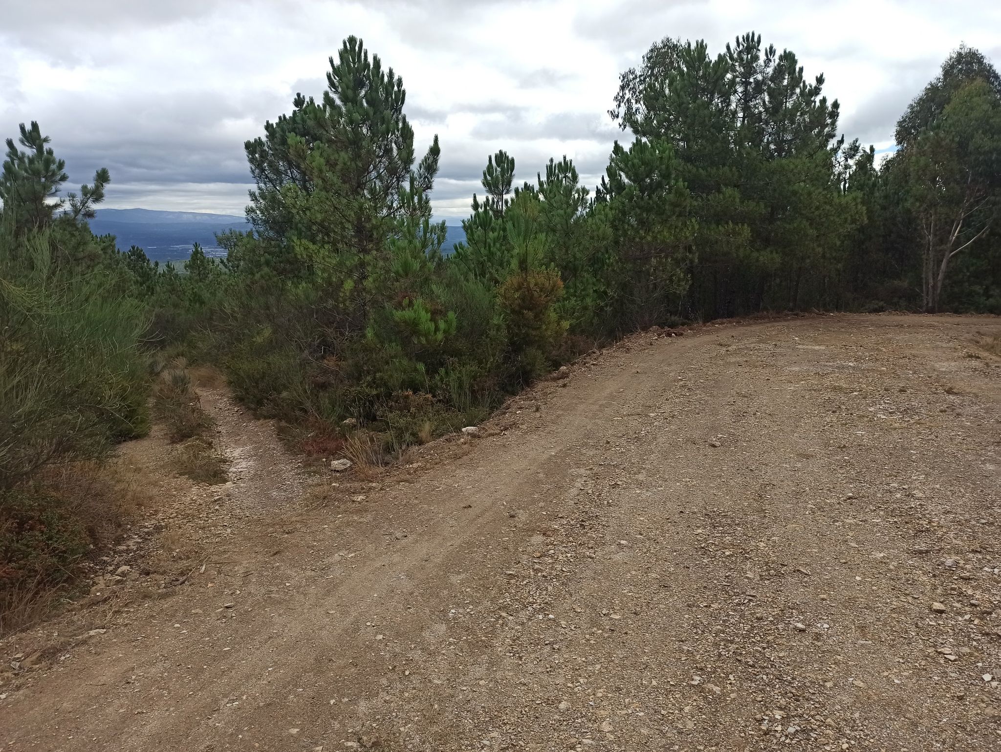 Por el sendero de la izq