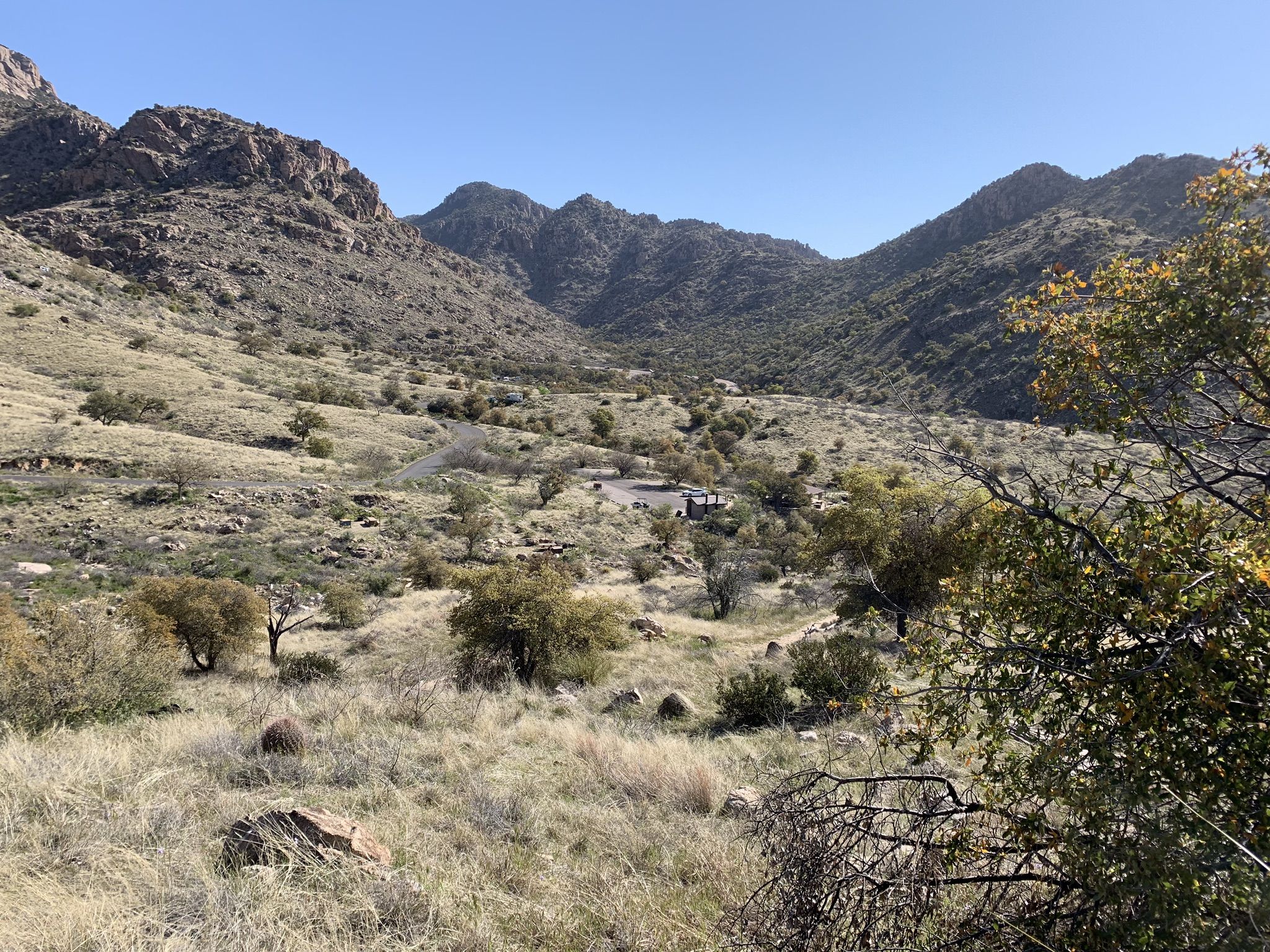 Arid mountain valley with dry grass, scattered trees, and distant buildings. - Brett’s Mt. Lemmon Climb – Babad Do'ag Viewpoint loop from Colonia Tanque Verde