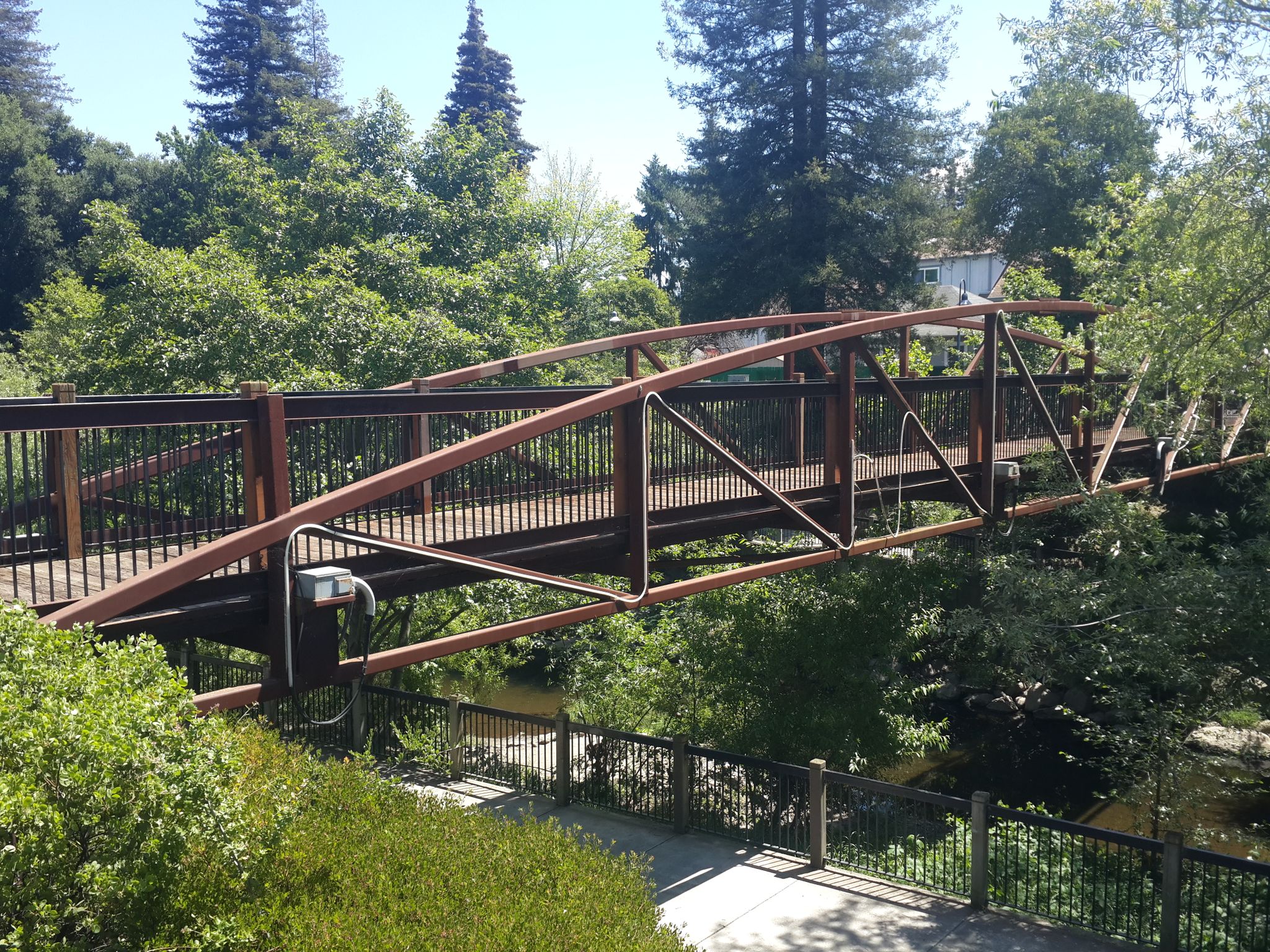 A modern pedestrian bridge over water, surrounded by dense green trees. - Prince Greenway Park loop from Santa Rosa