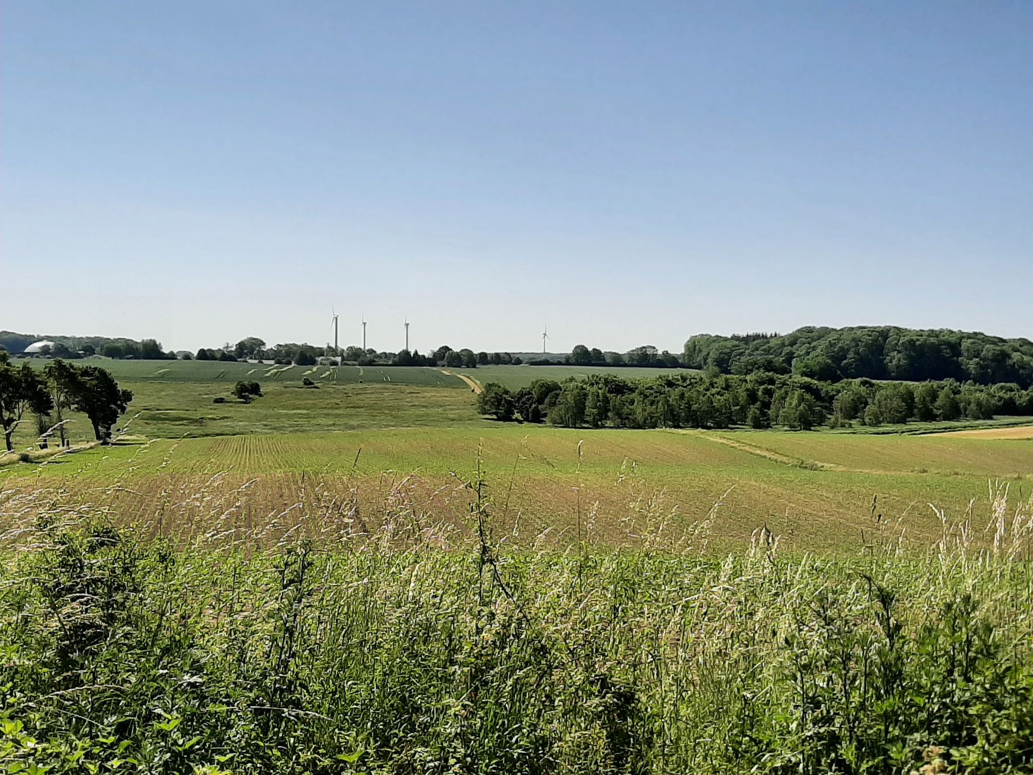 Blick in die Weite