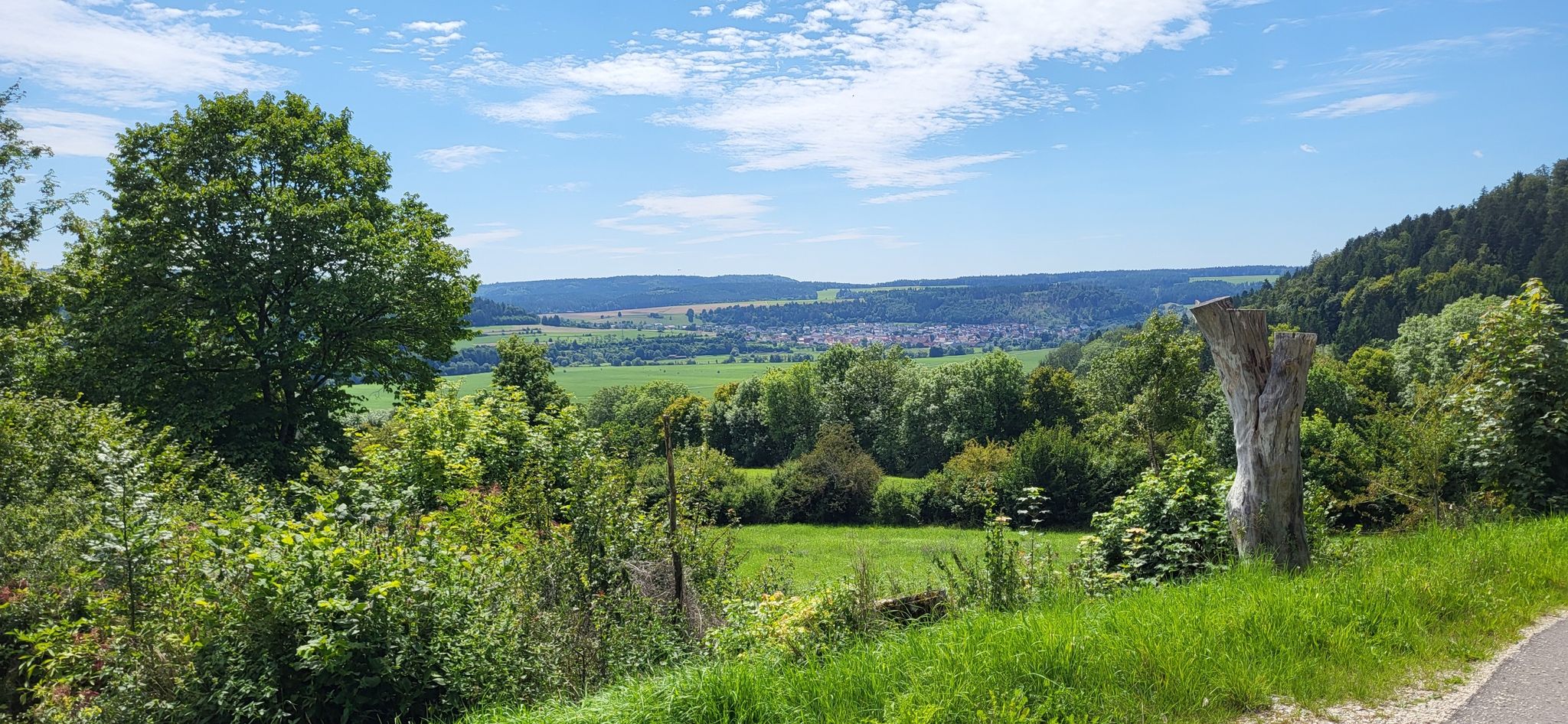 Blick Richtung Nendingen