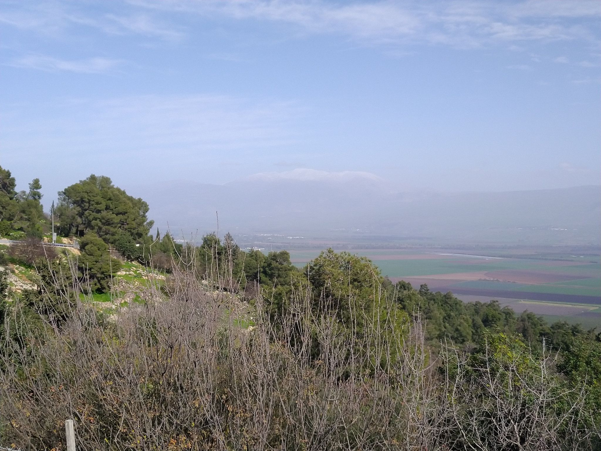 mt. heron