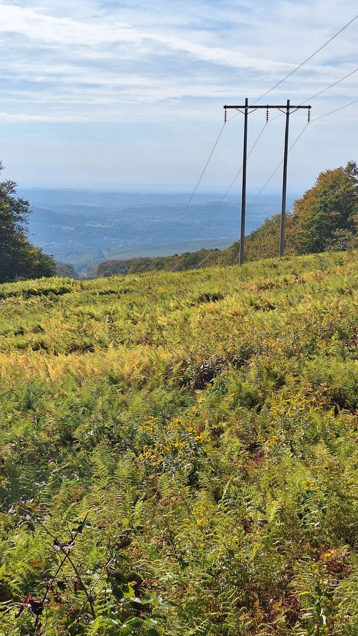 Power lines stretch across a sunny, grassy hillside overlooking a distant valley. - Maple Hill via Long Trail