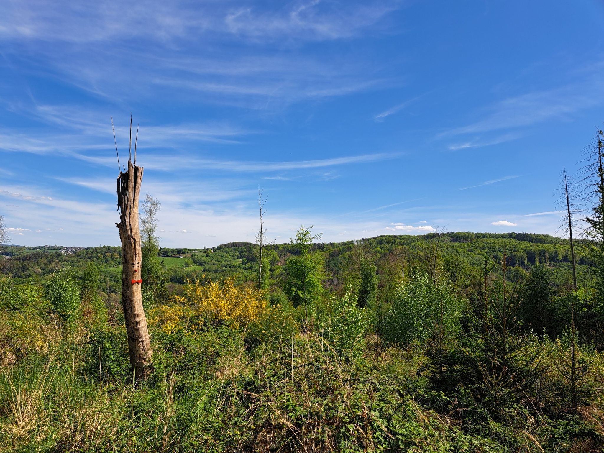 Blick zum Lüderich