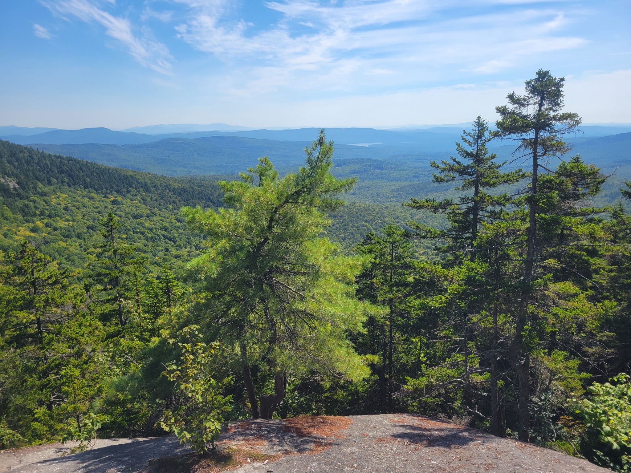 Panoramic view of dense green forests and distant mountains under a blue sky. - Mount Cardigan, Mount Gilman, & Crane Mountain Loop