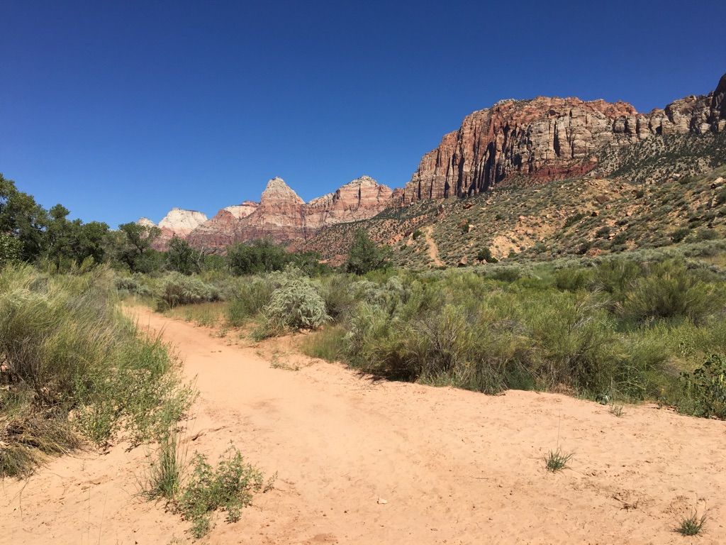 Sandy path through desert shrubs leads to majestic red rock mountains under clear sky. - Nung’wu Poa (Paiute) Trail - Phase 2