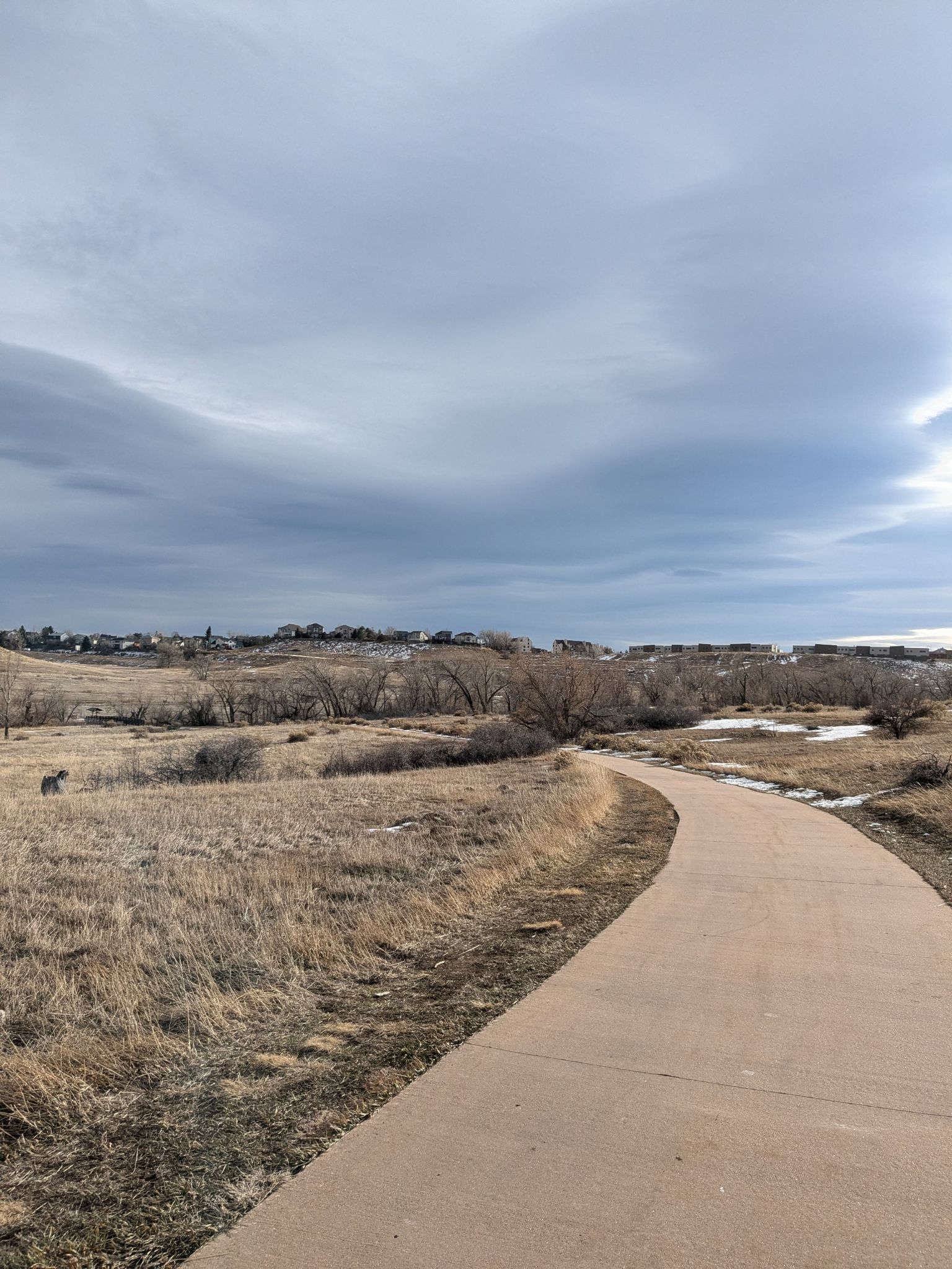 Paved path winding through dry grass and trees under a cloudy, winter sky. - Big Soda Lake – Bear Creek Trail in Morrison loop from Dakota Ridge High School