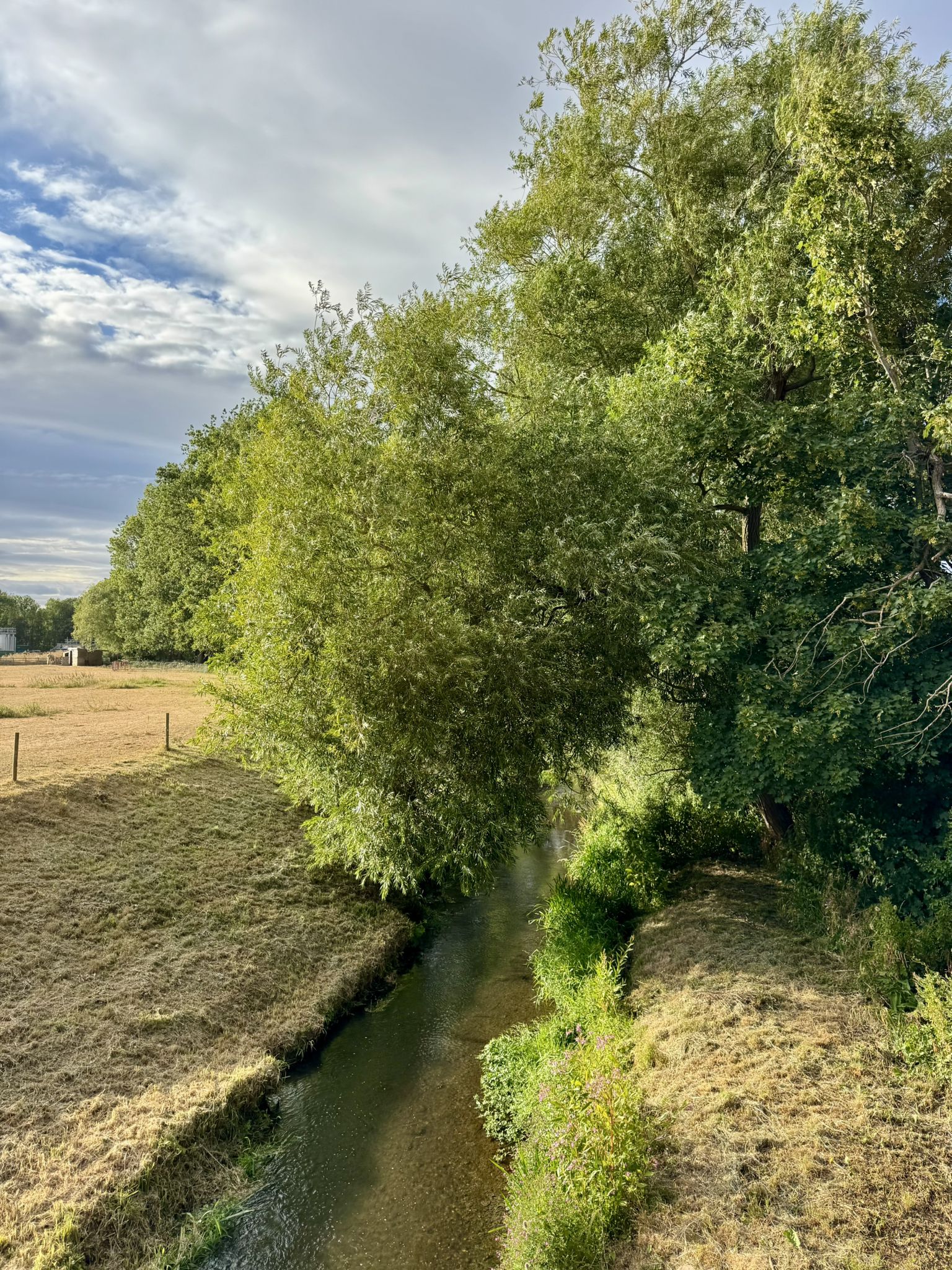River Isbourne from Sedgeberrow