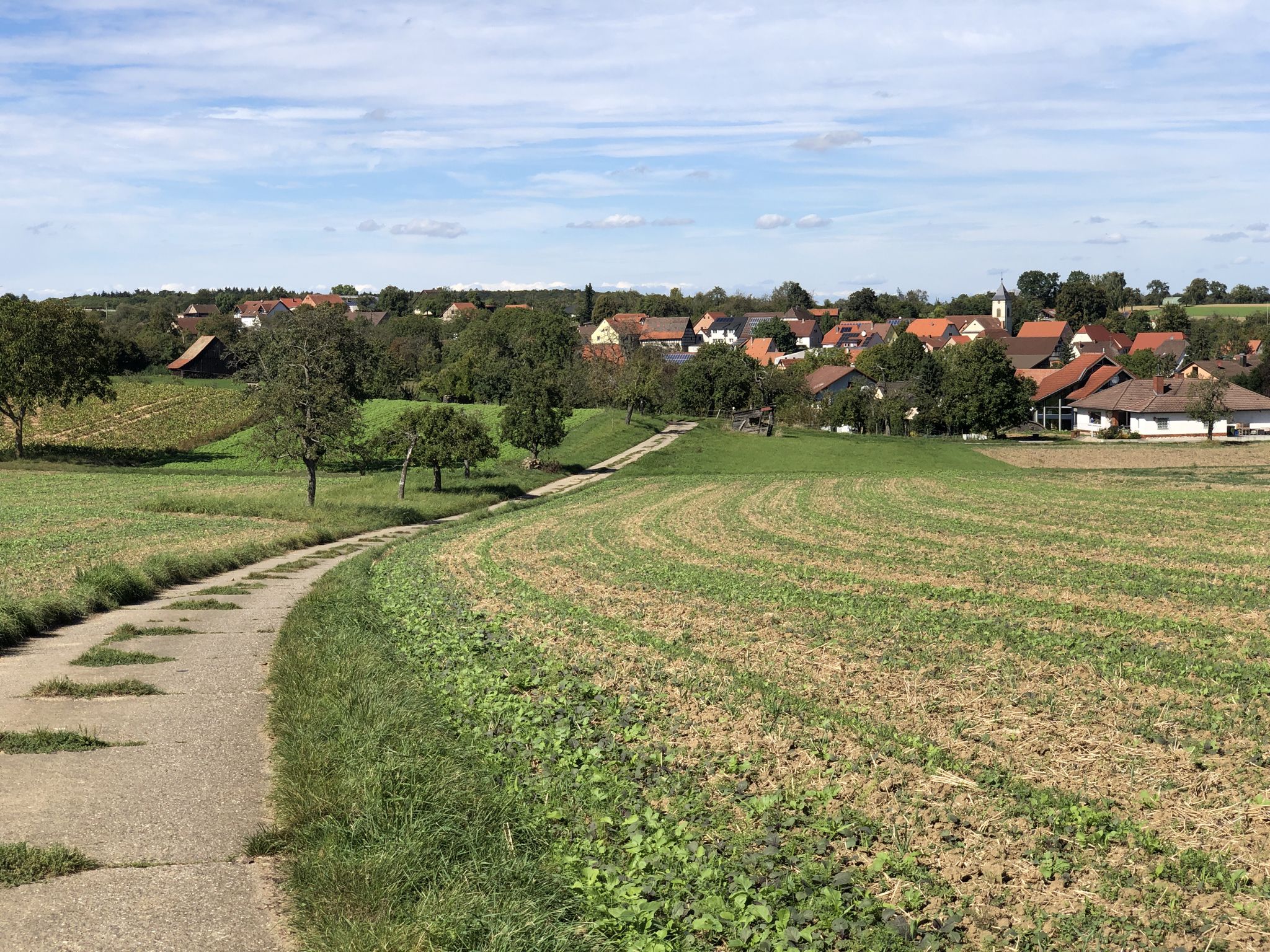 Blick auf Hasselbach