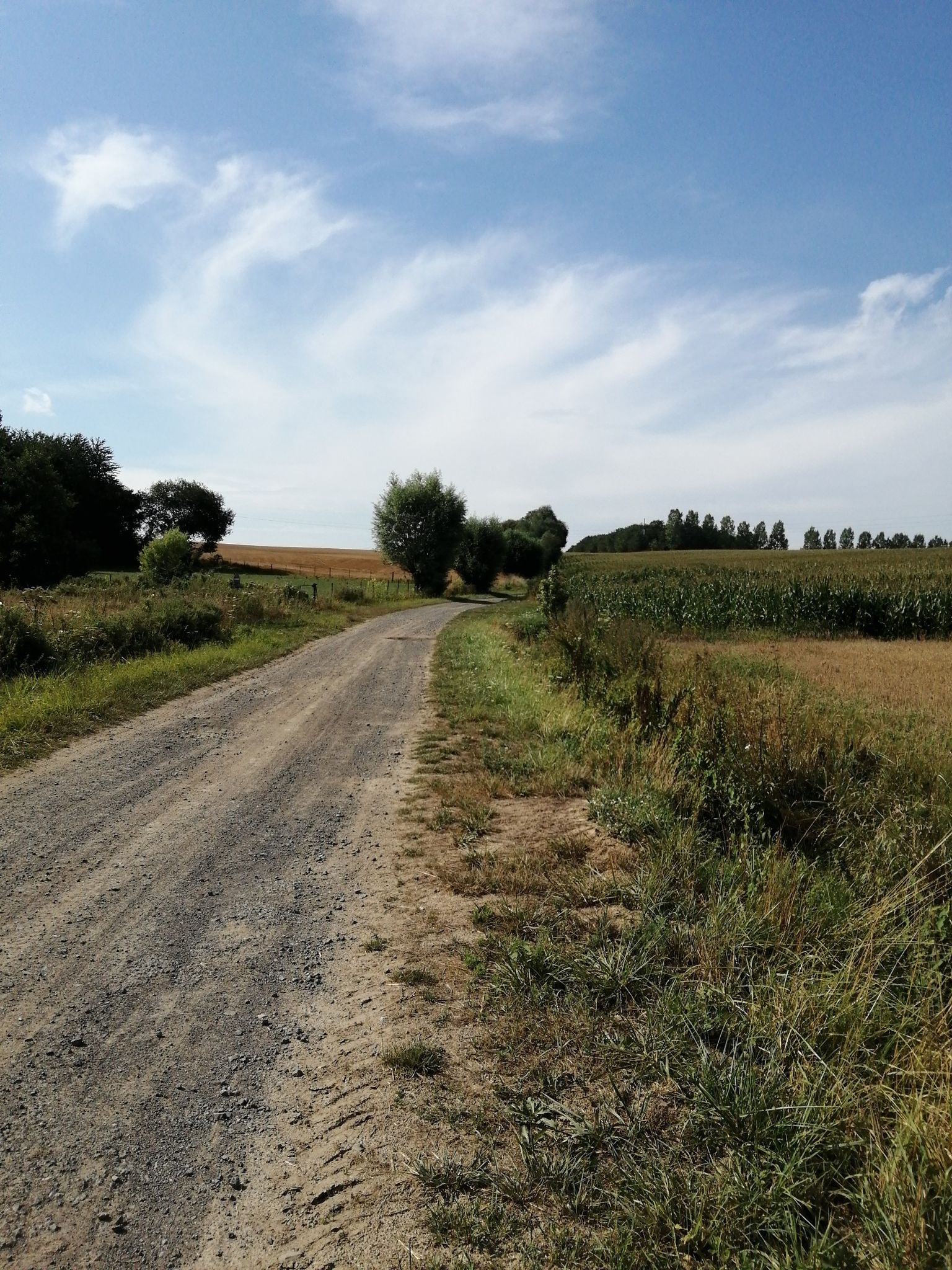 Sortie du Triez, vers Wargnies le Grand 