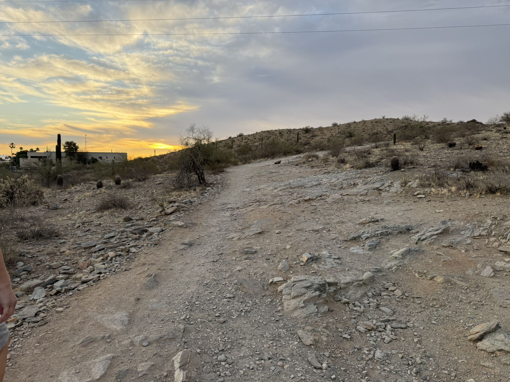 Dirt path through desert scrub at sunset, with distant buildings and power lines. - Beverly Canyon Trail