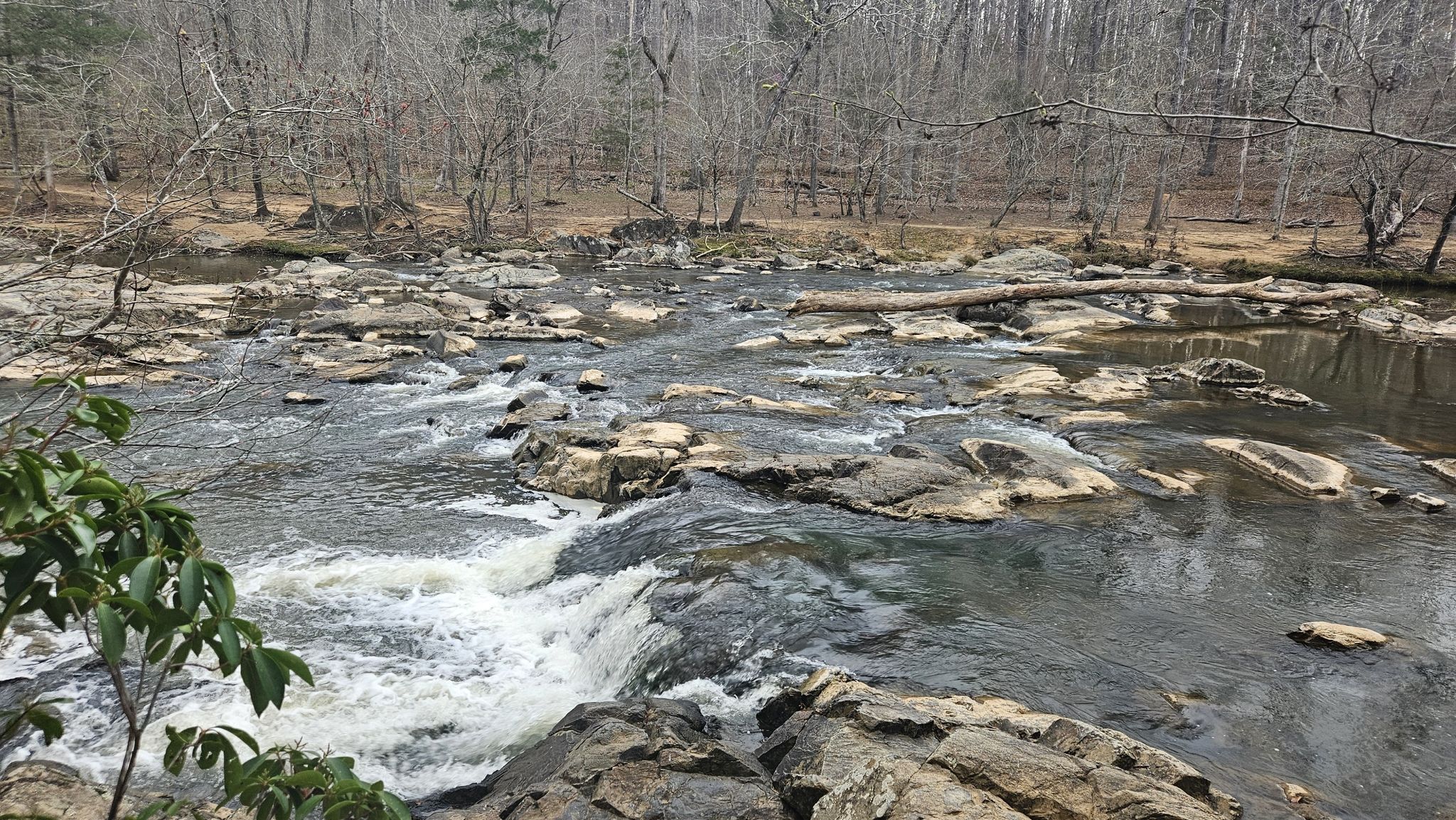 Rocky river with small rapids, surrounded by bare trees on a bright day. - Buckquarter Creek Trail