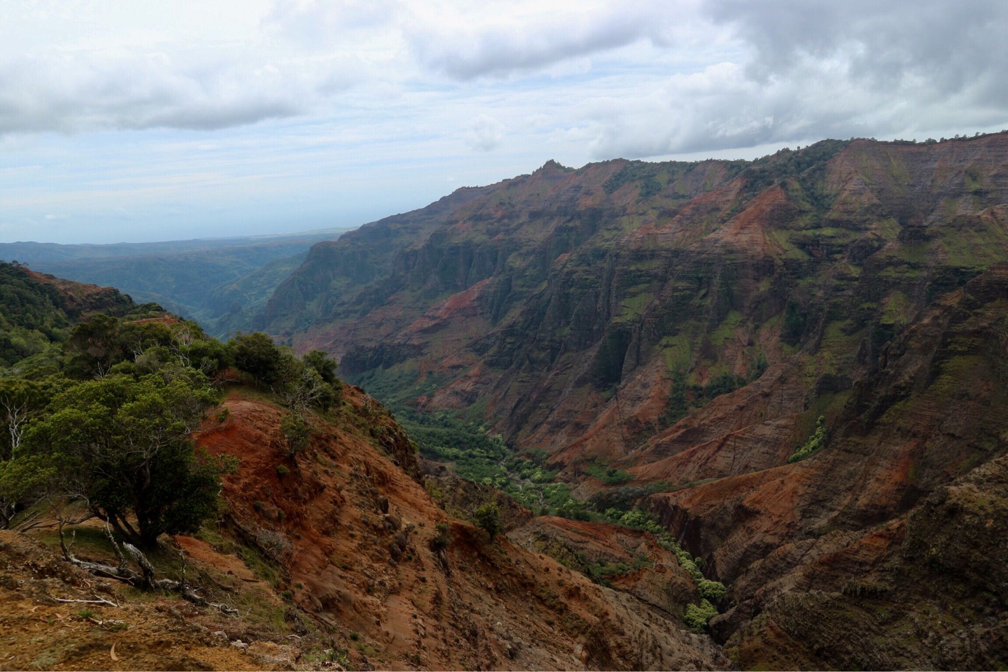 Deep canyon with varied green and red terrain under an overcast sky. - Rooty Forest Trail – Pu'u Hinahina Lookout loop from PMRF Hawaiian Area