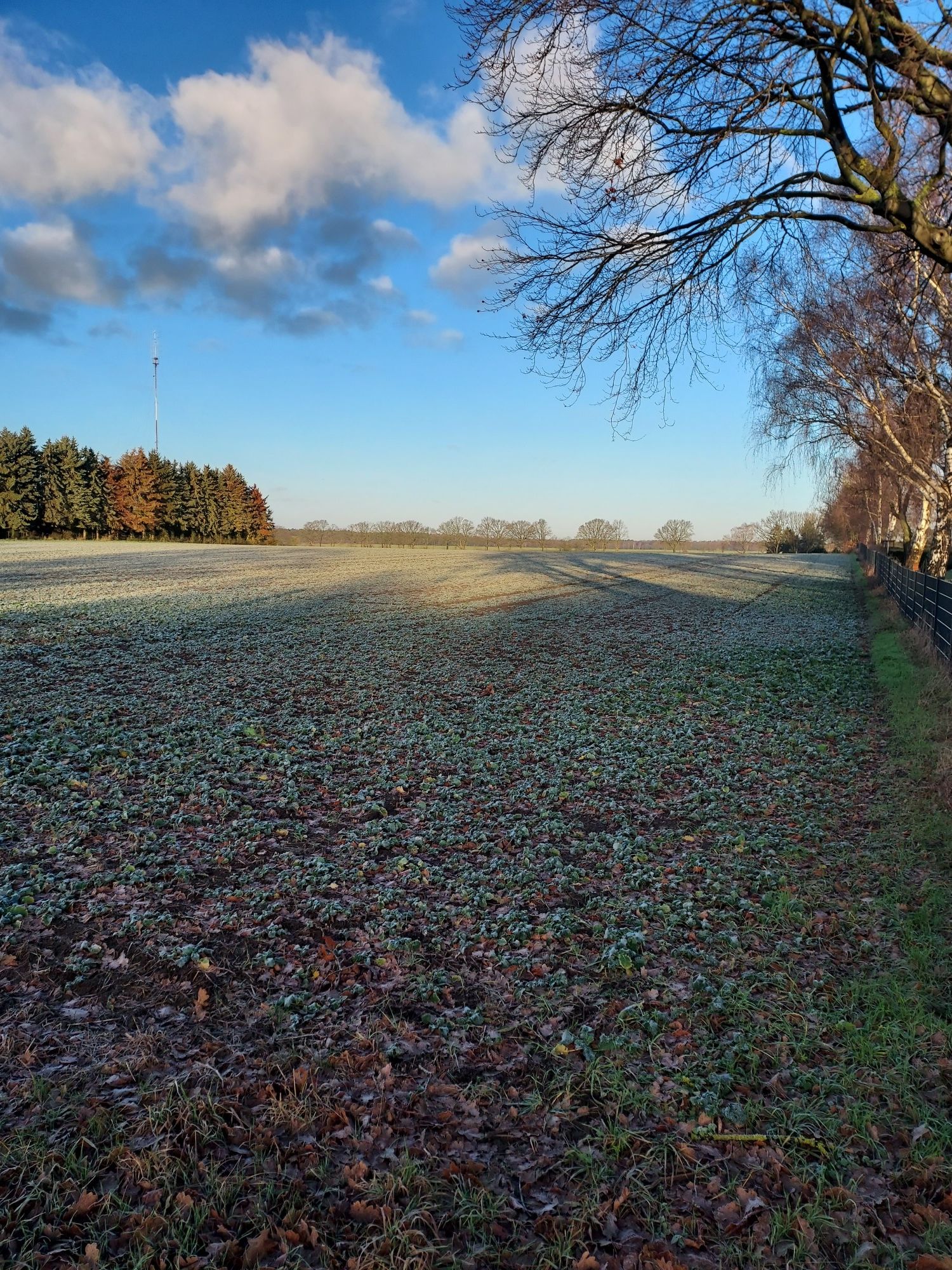 weites Land bei Heeßel
