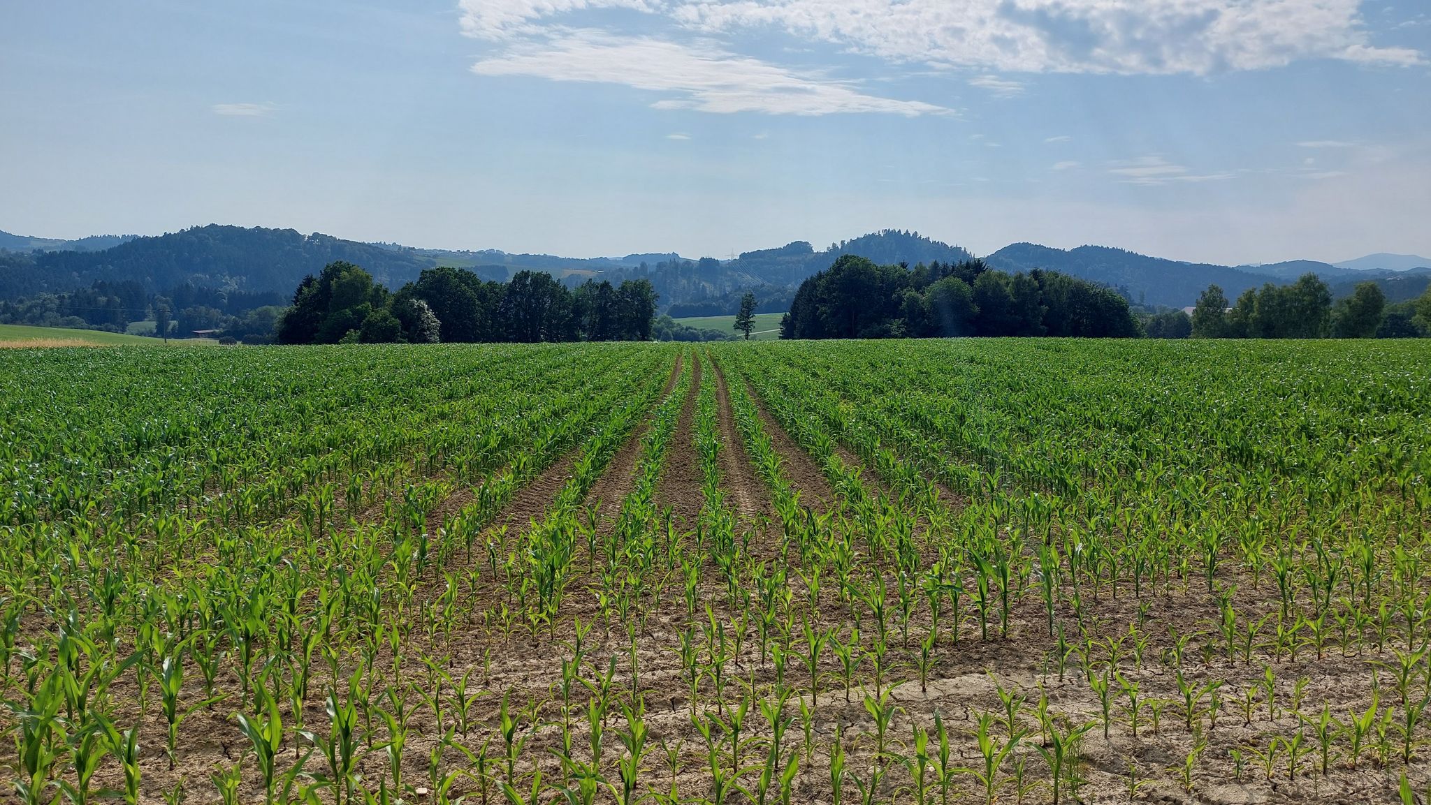 Ein letzter Blick übers Land