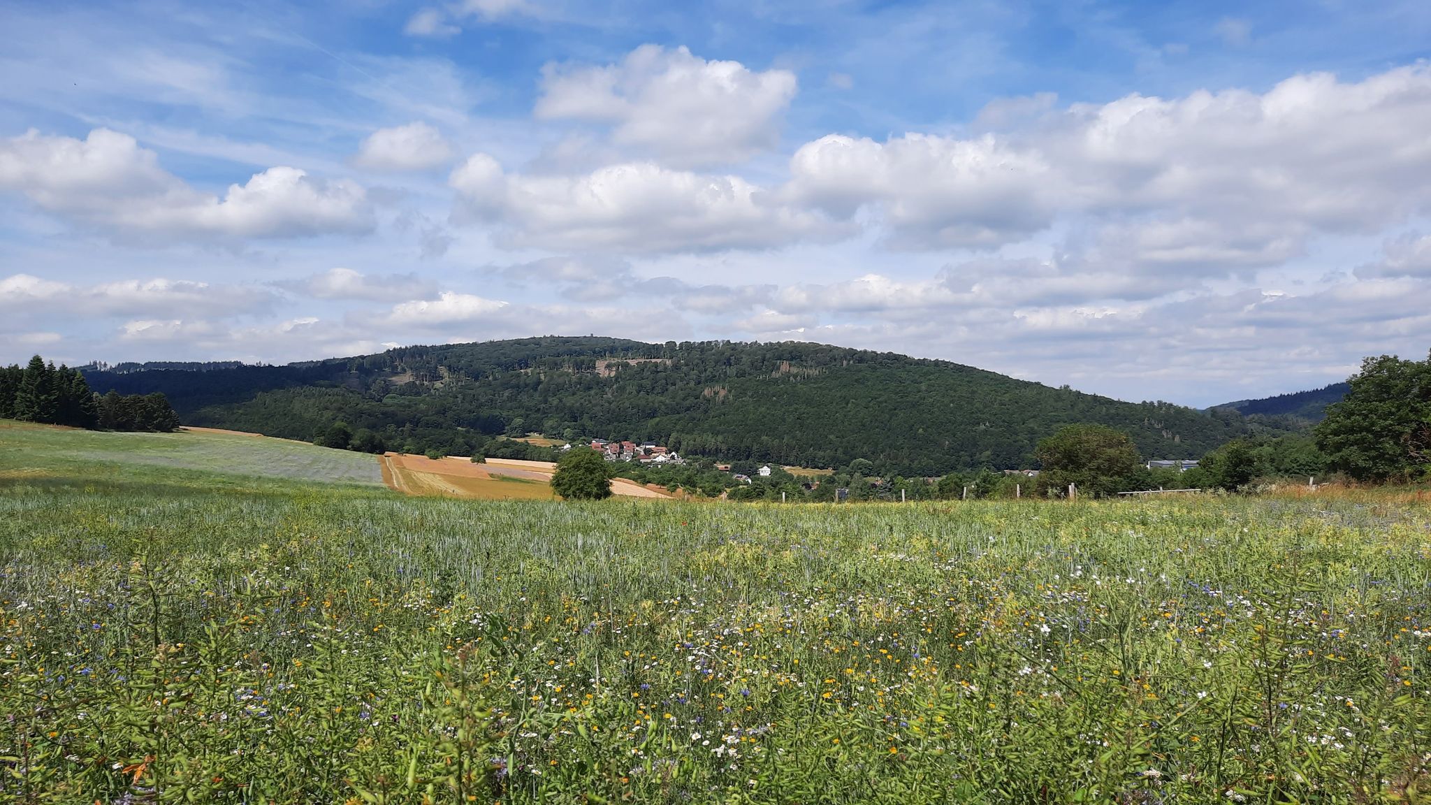 Blick auf Brombach