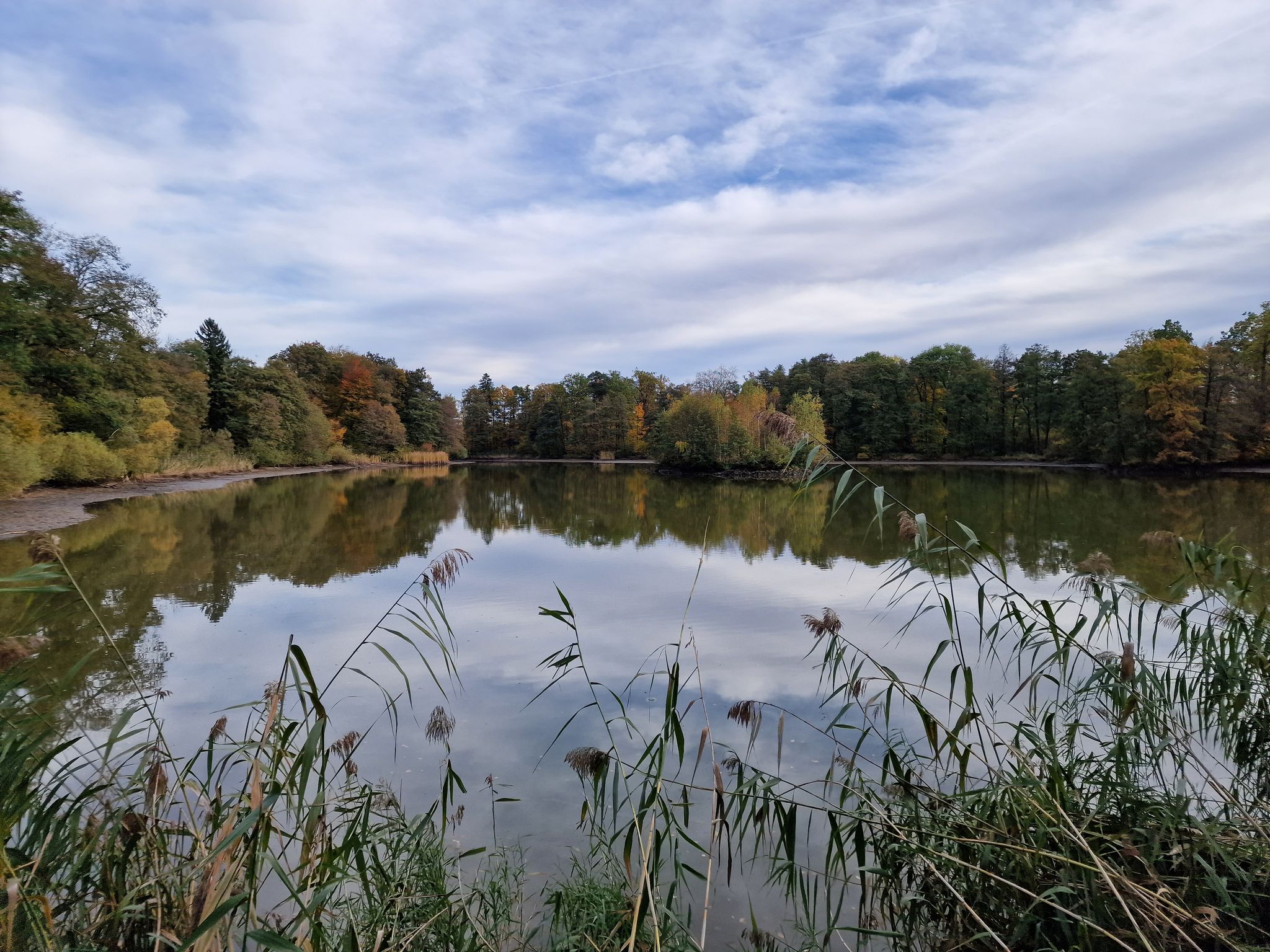 Schloss Jaidhof Parkteich