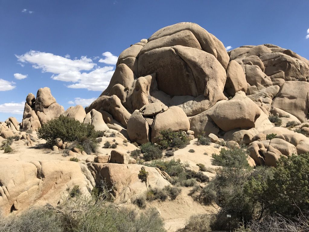 Large, rounded rock formations and scattered desert shrubs under a bright, cloudy sky. - Skull Rock – Arch Rock loop from Echo Cove South Face