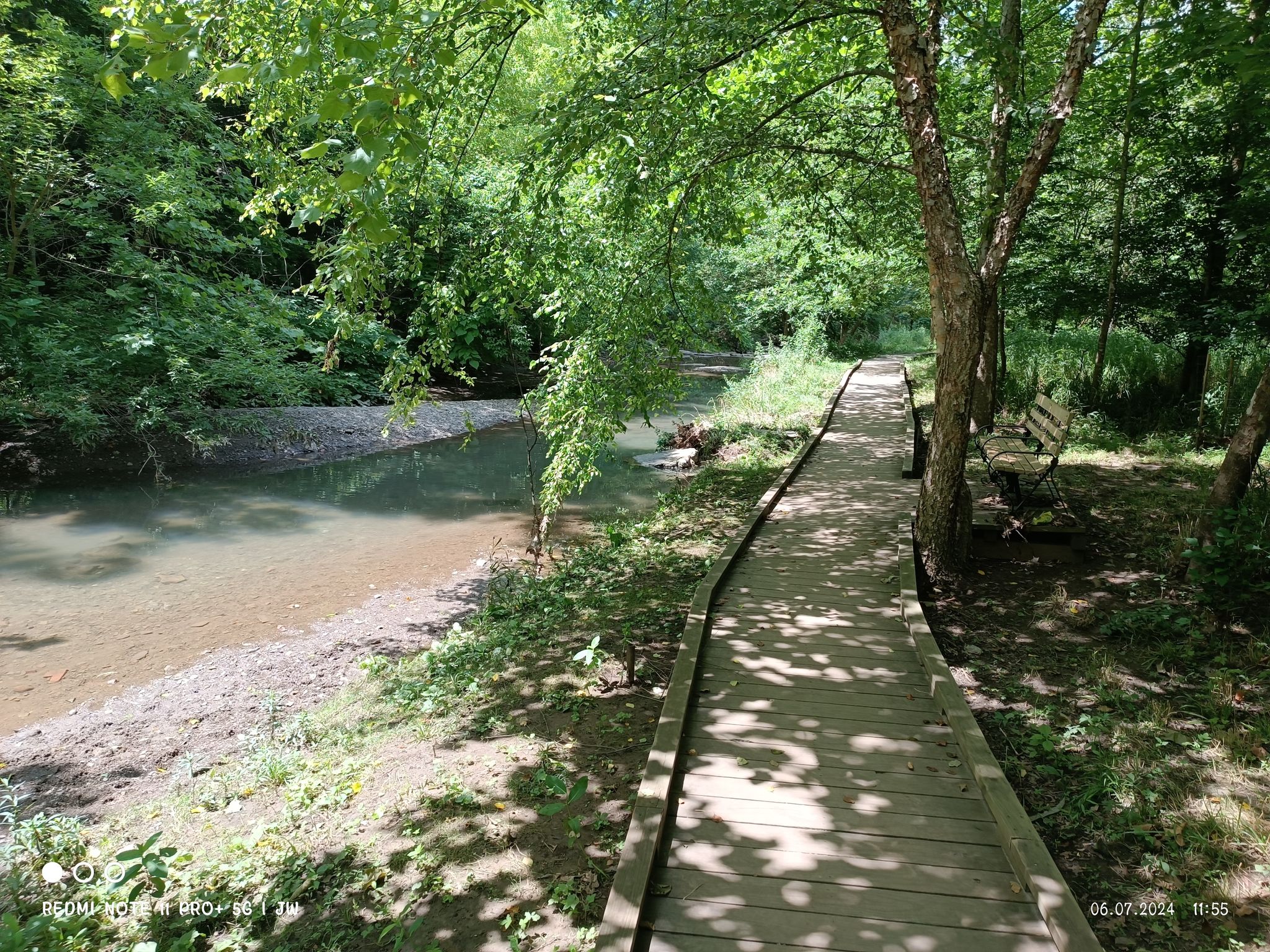 A wooden boardwalk follows a calm stream through a sunny forest. - Nine Mile Run and Firelane Trail Loop