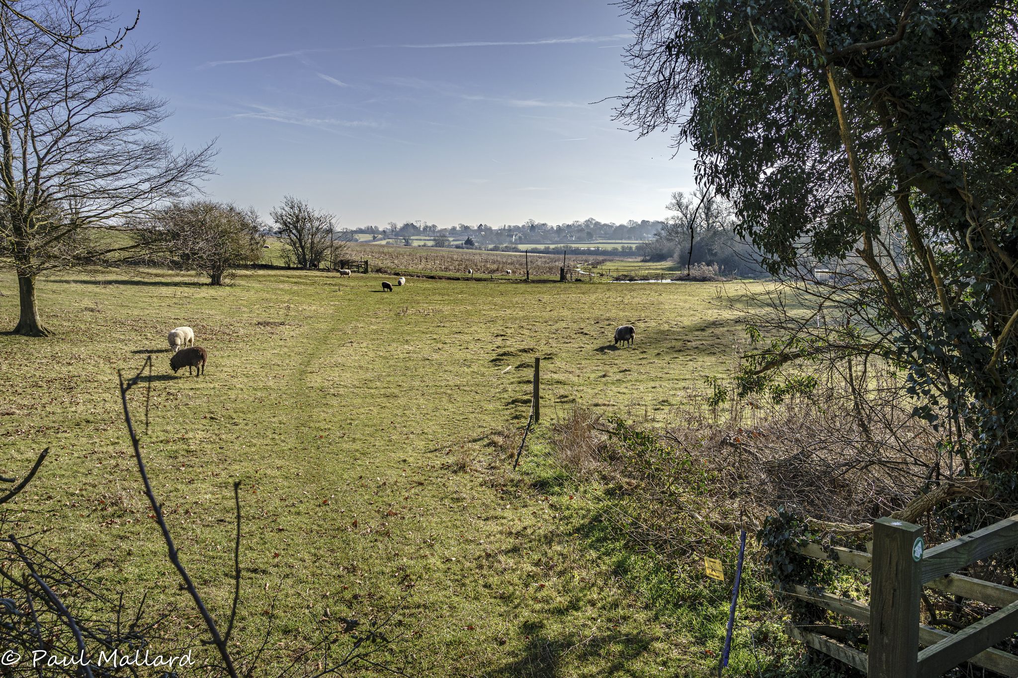 Footpath leading to Morton Pinkney