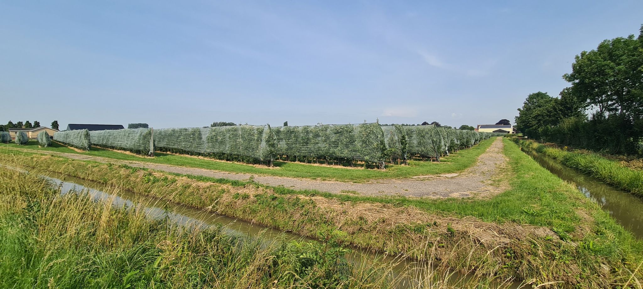 Immer wieder Obstplantagen