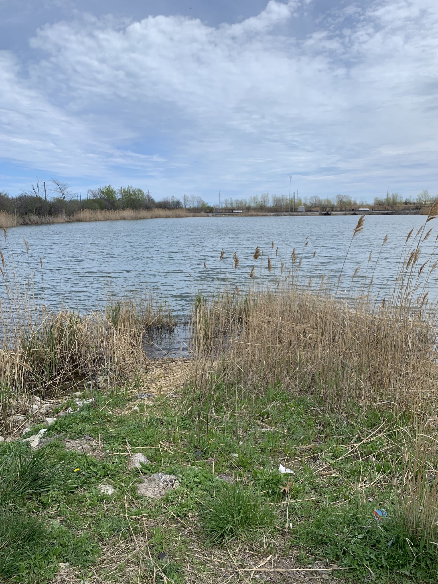 Overcast view of a calm lake surrounded by tall reeds and green grass. - Hammond South Shore Train Station to Big Marsh Park
