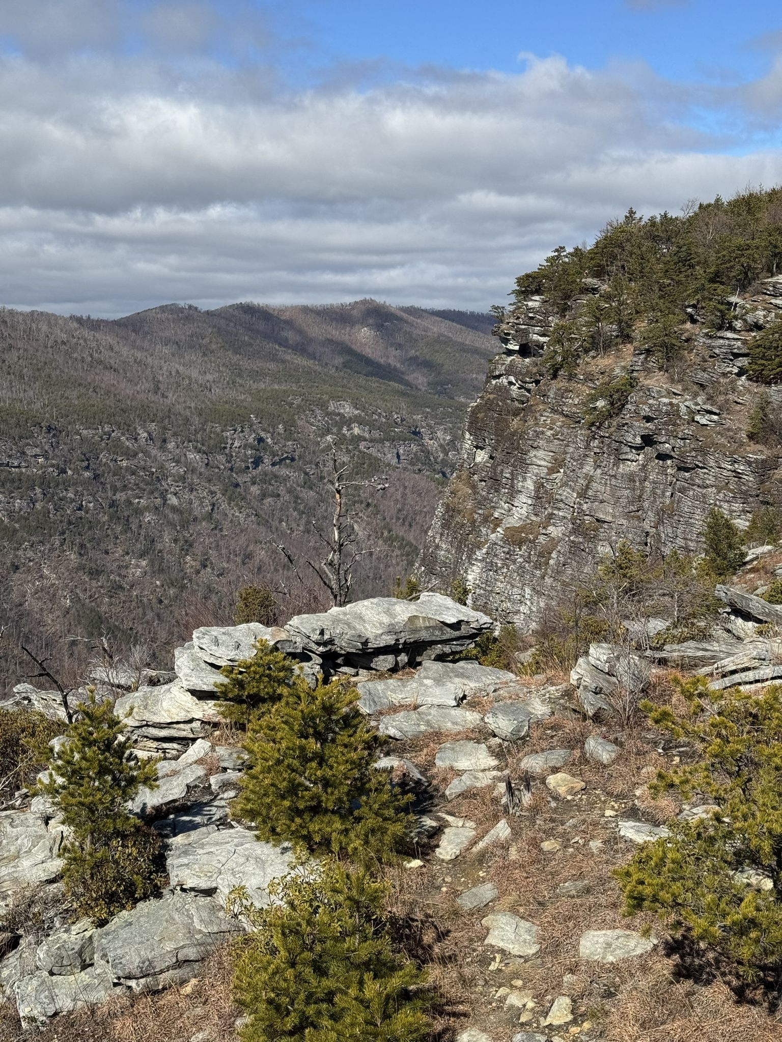 Rocky cliff edge overlooking a vast valley under a partly cloudy sky. - Shortoff Mountain Trail