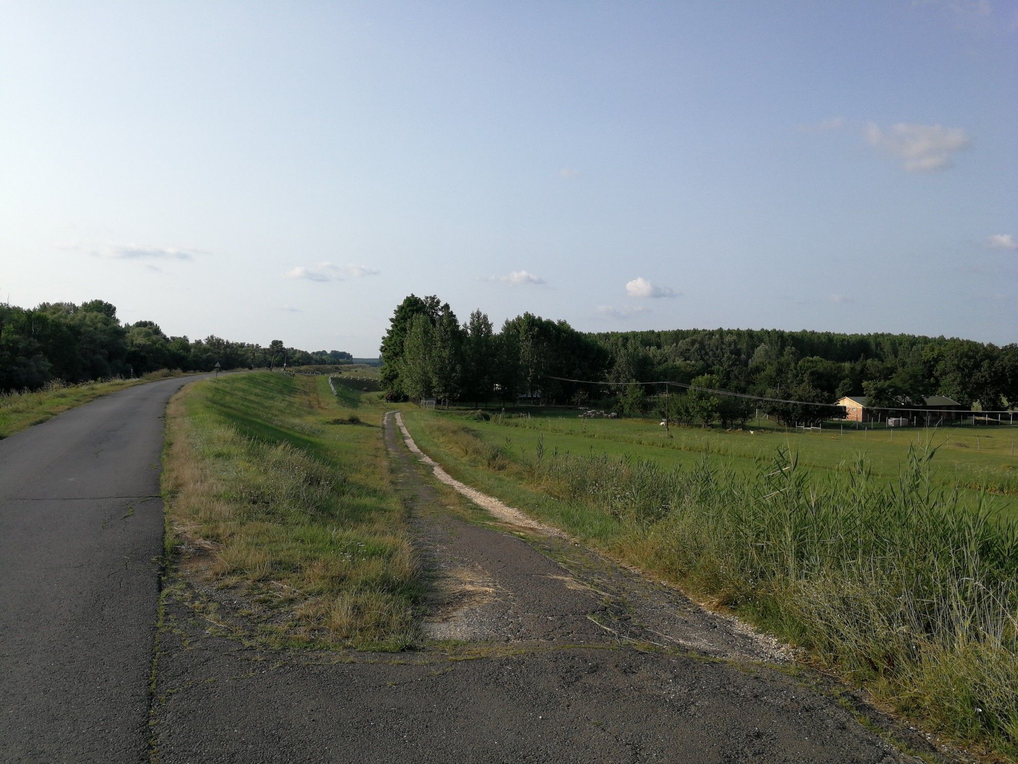 Tisza River Dam 2