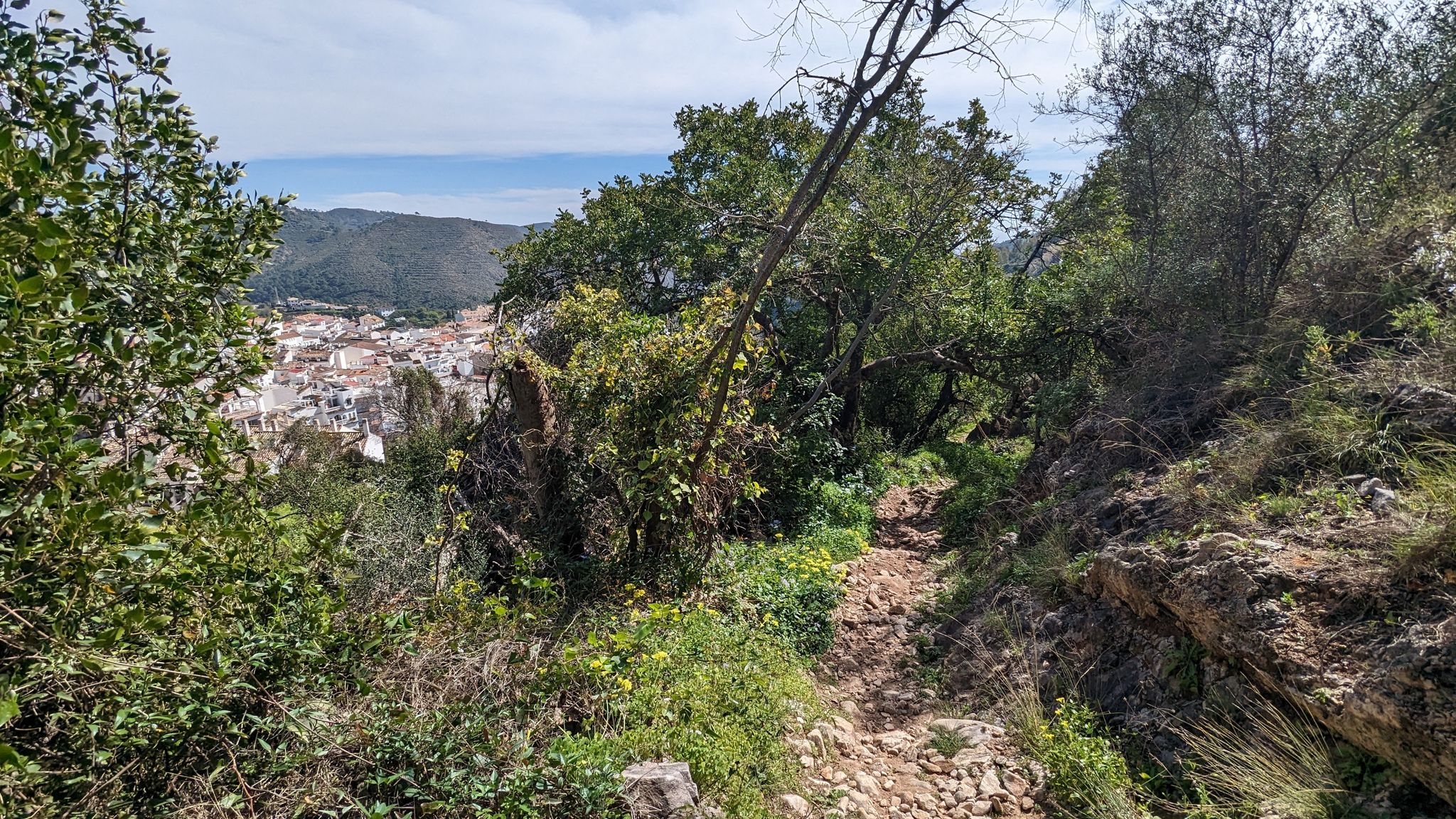 Trail