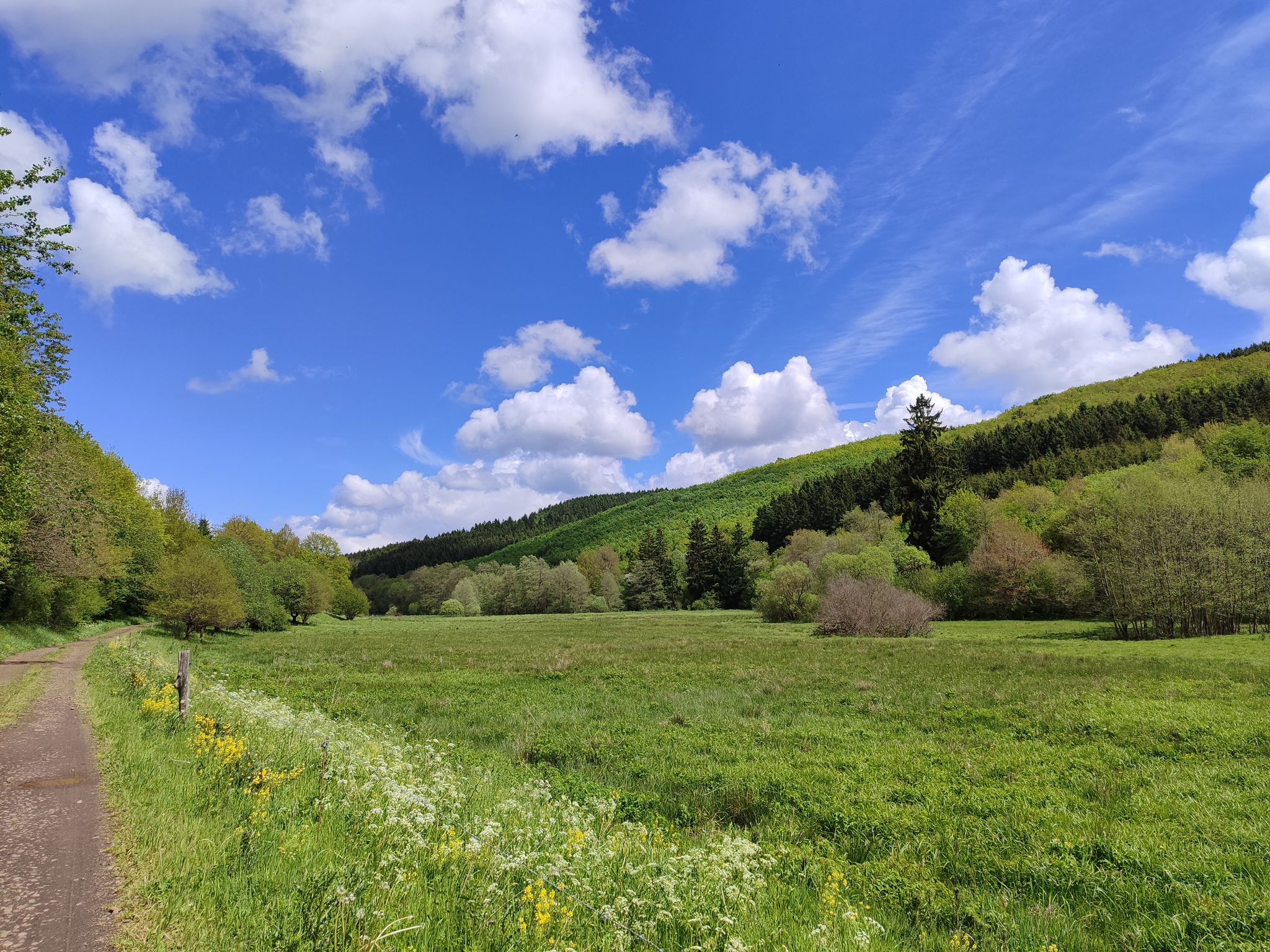 schöner Talweg 