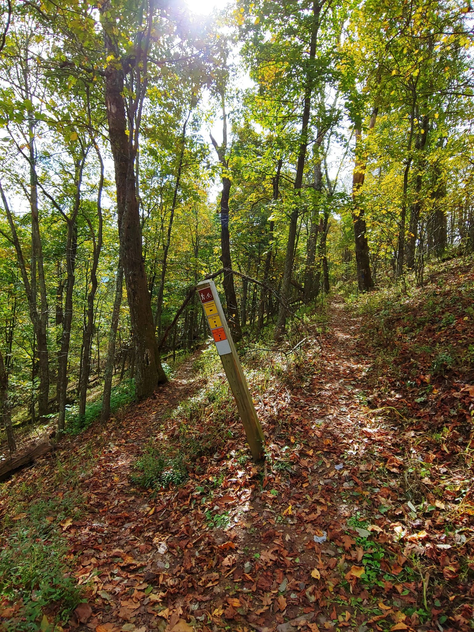 Sunny forest path with a trail marker, surrounded by autumn leaves and trees. - Blue Suck Falls Trail