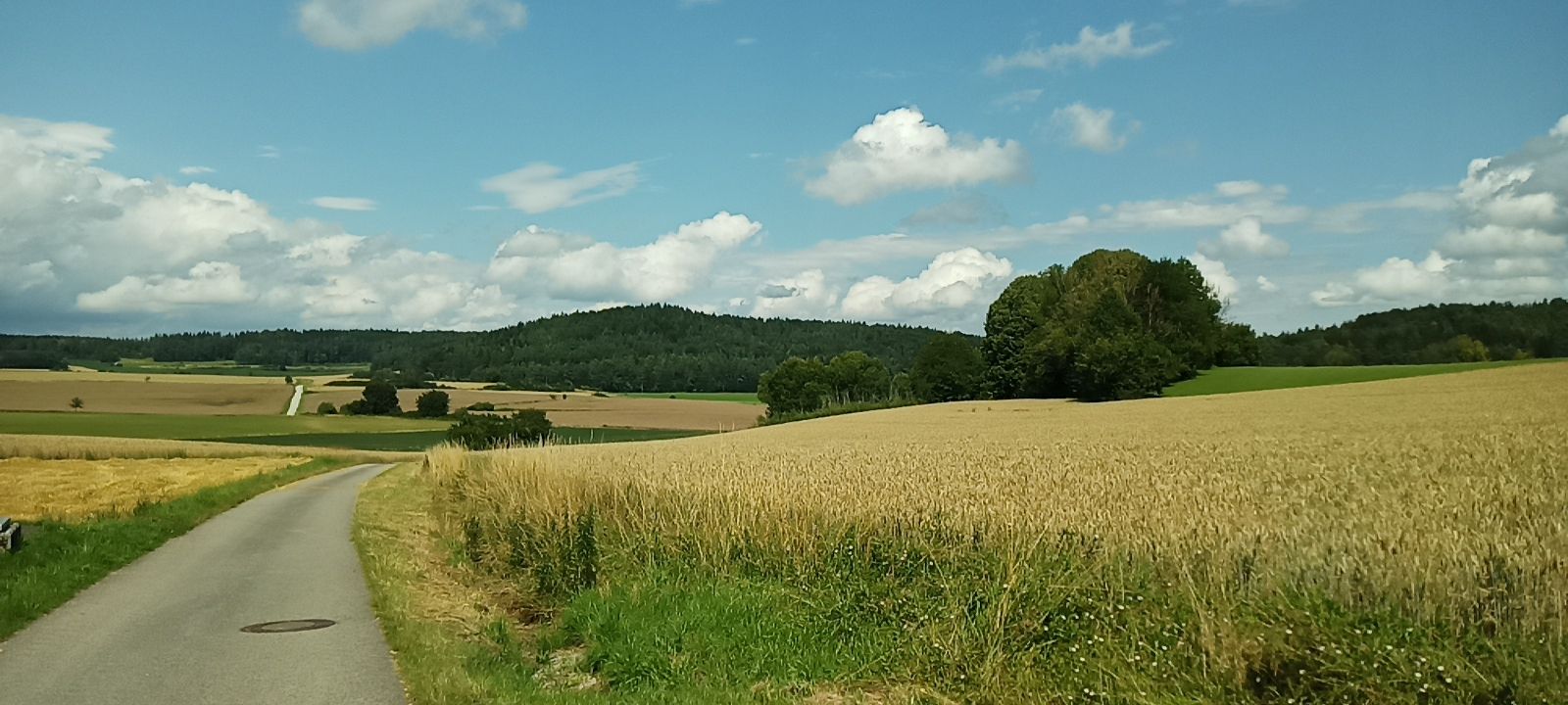 Rückblick