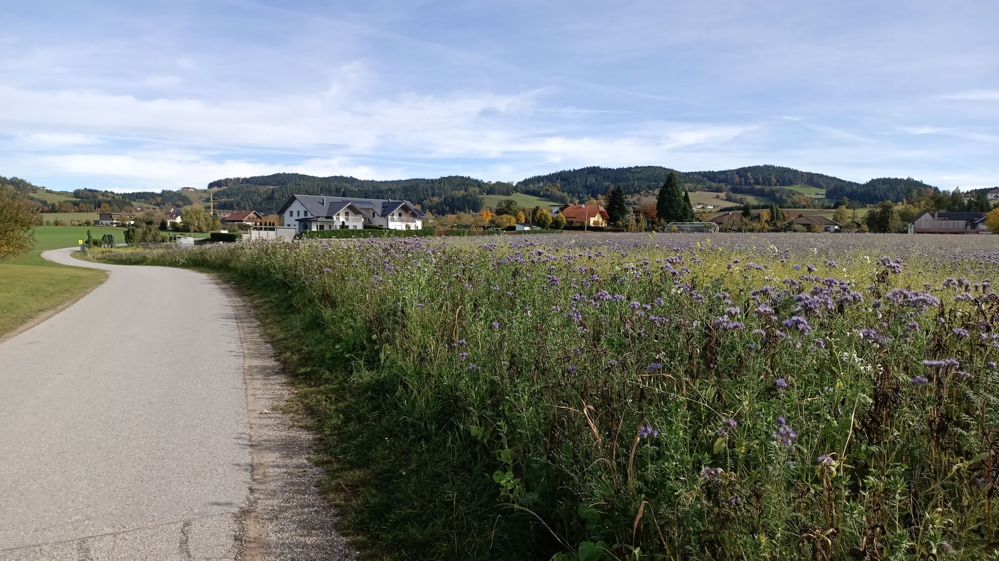 SELKER ist in Sichtweite