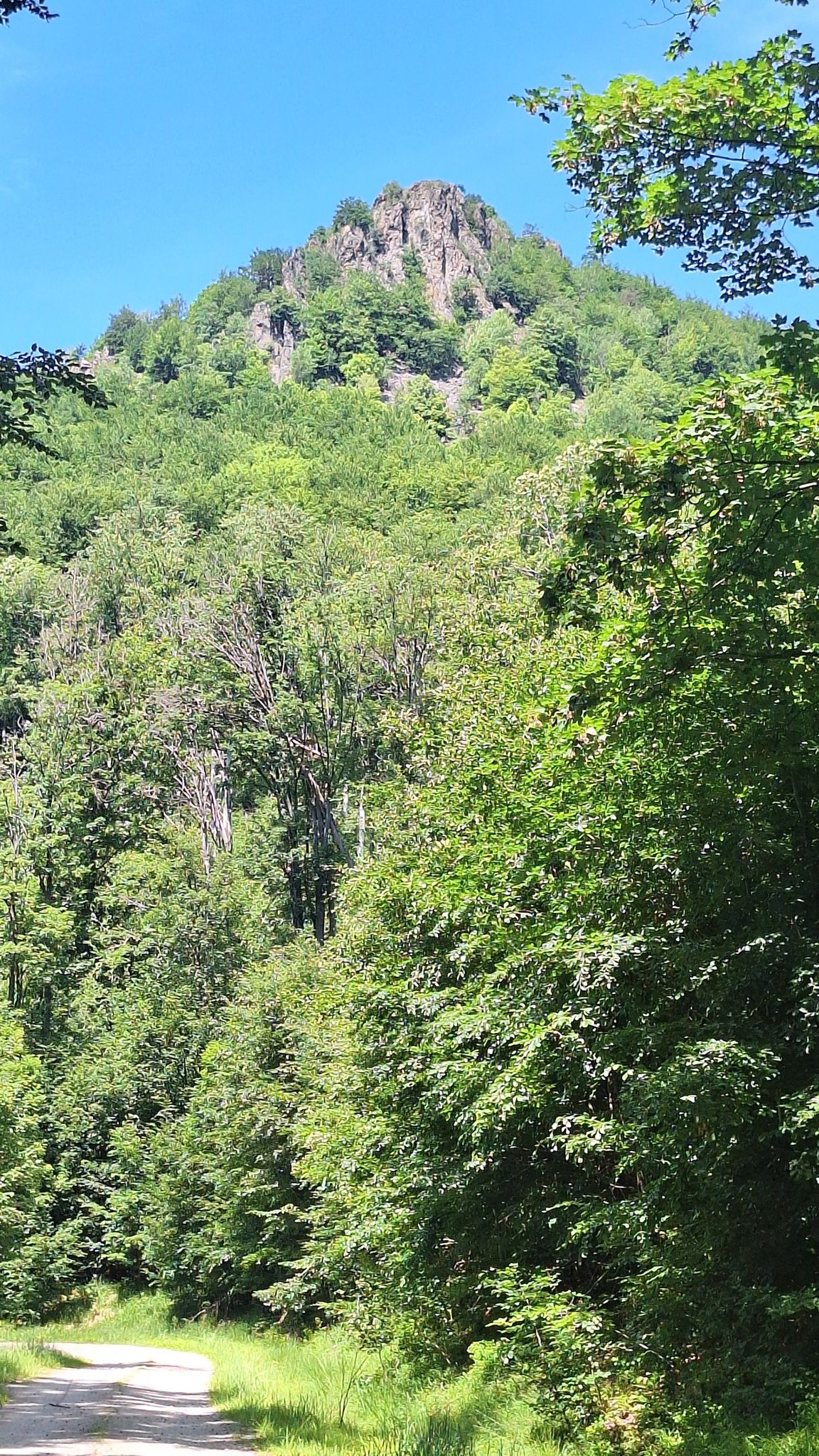 Buchlov