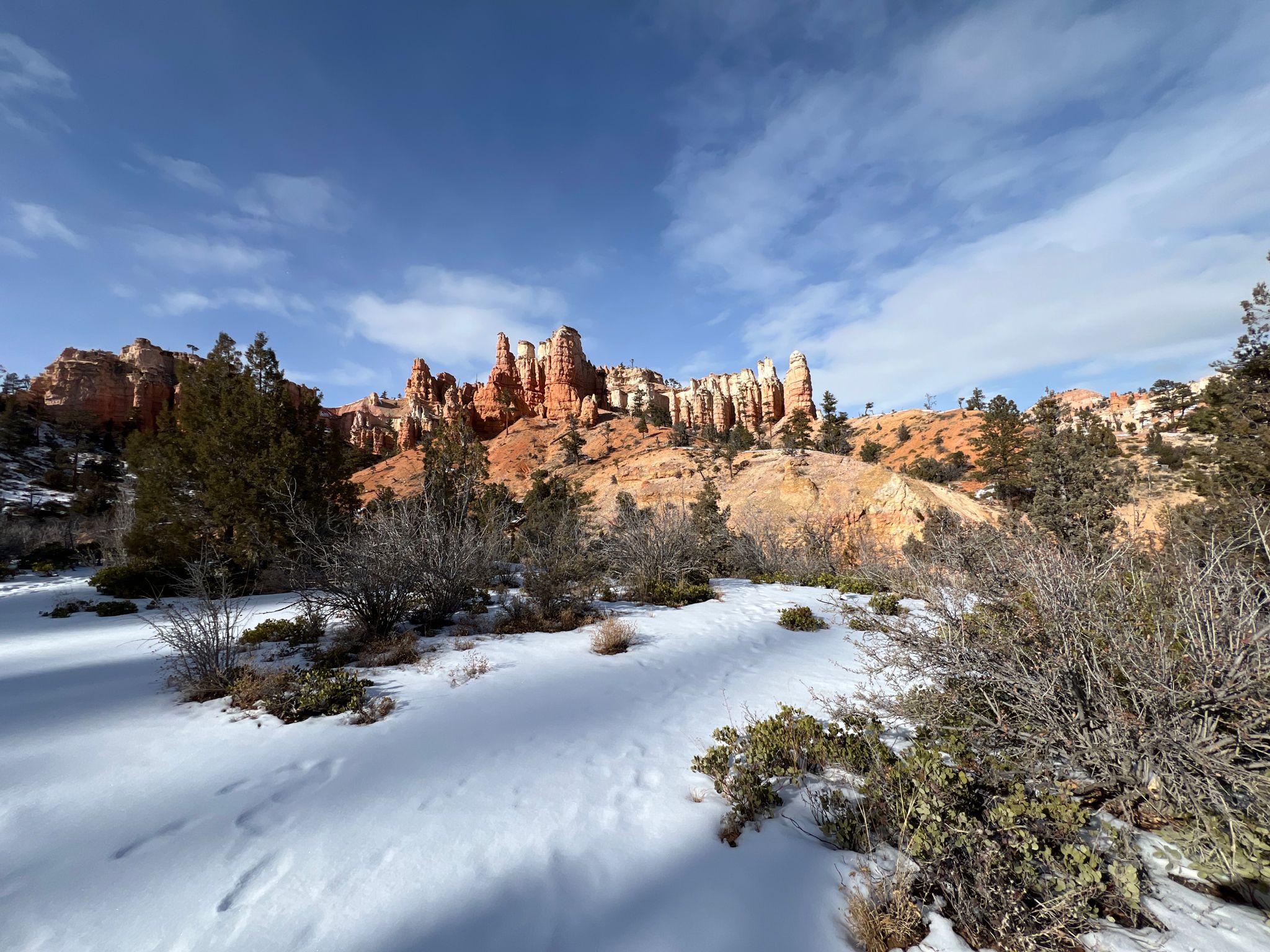 Snow-covered ground with pine trees and distant red rock formations under blue sky. - Mossy Cave Trail